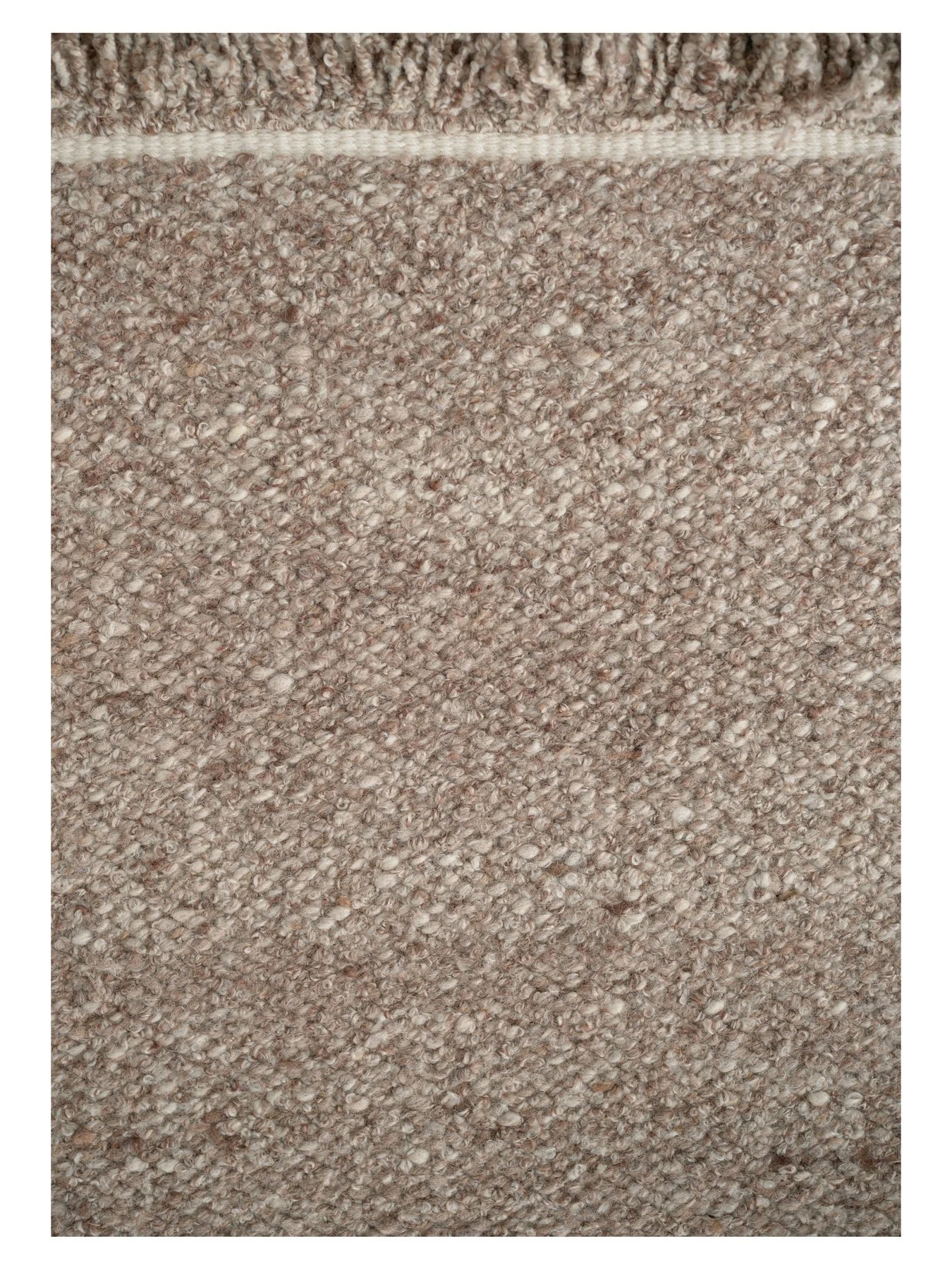 3300771_1_fritskrab_Peaceful_Parity_camel_638881013910000000_1350x1800.jpg