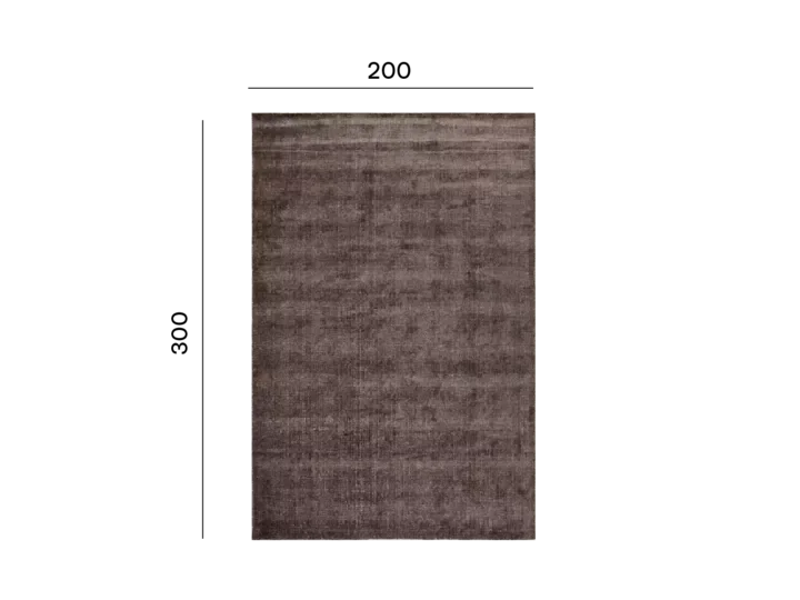 next-999_brown-4x@2x.webp