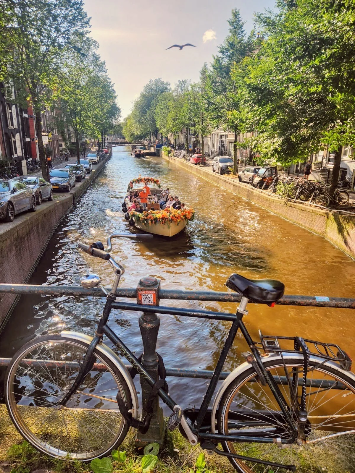 Save on Accomodations!