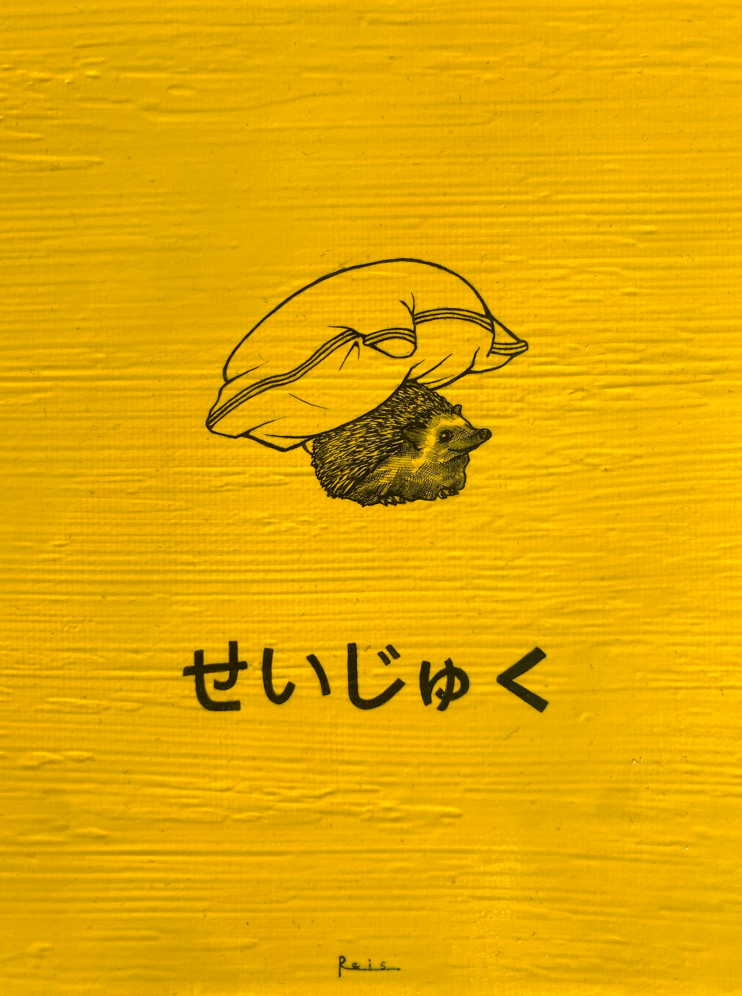 SEIJUKU . Maturity #3/9 ‘’The abandonment of carefree youth in the face of a maturity marked by sleep ‘’prickled’’ with worries’'