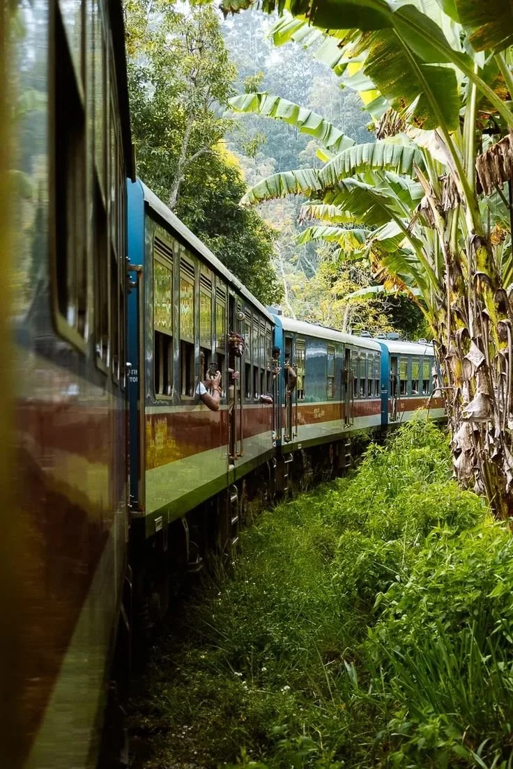 Sri Lanka Route – Foedsie.jpeg