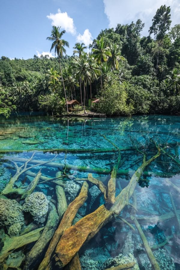 Paisu Pok Lake In Banggai_ Bluest Lake In_.jpeg