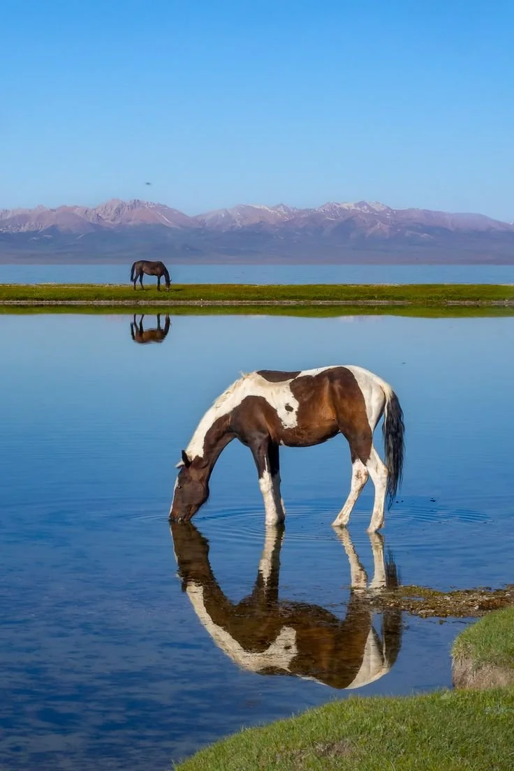 Kyrgyzstan - A nomadic living at Song-Kul Lake.jpeg
