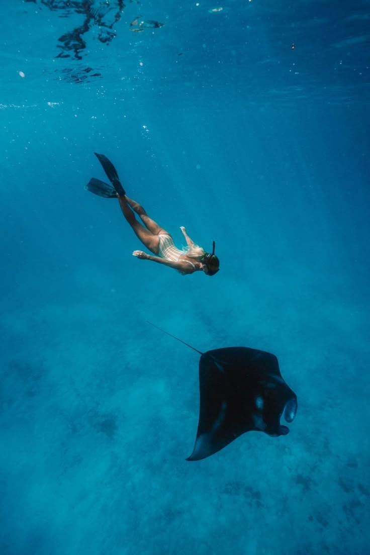 20+ TOP MALDIVES RESORTS - BEST RESORTS IN MALDIVES FOR EVERY BUDGET.jpeg