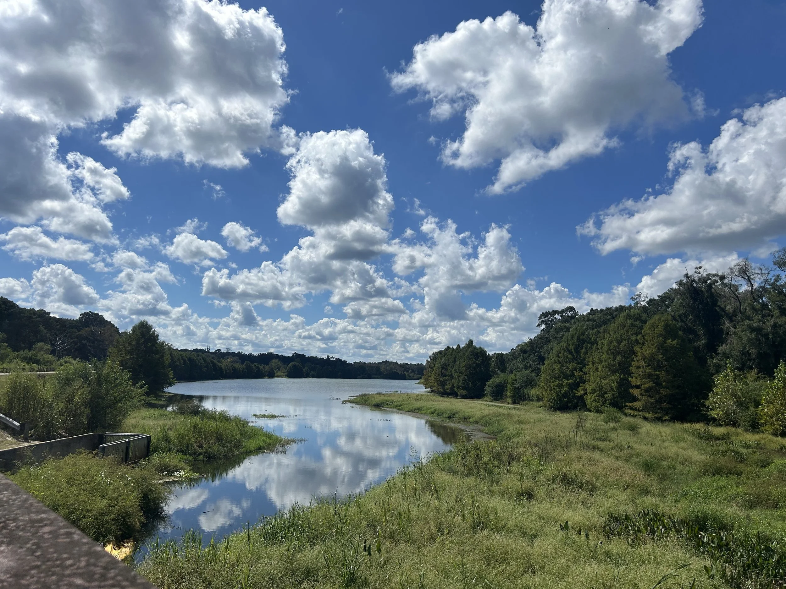 Commentary: What we learn when following a water droplet on its journey beneath Tallahassee