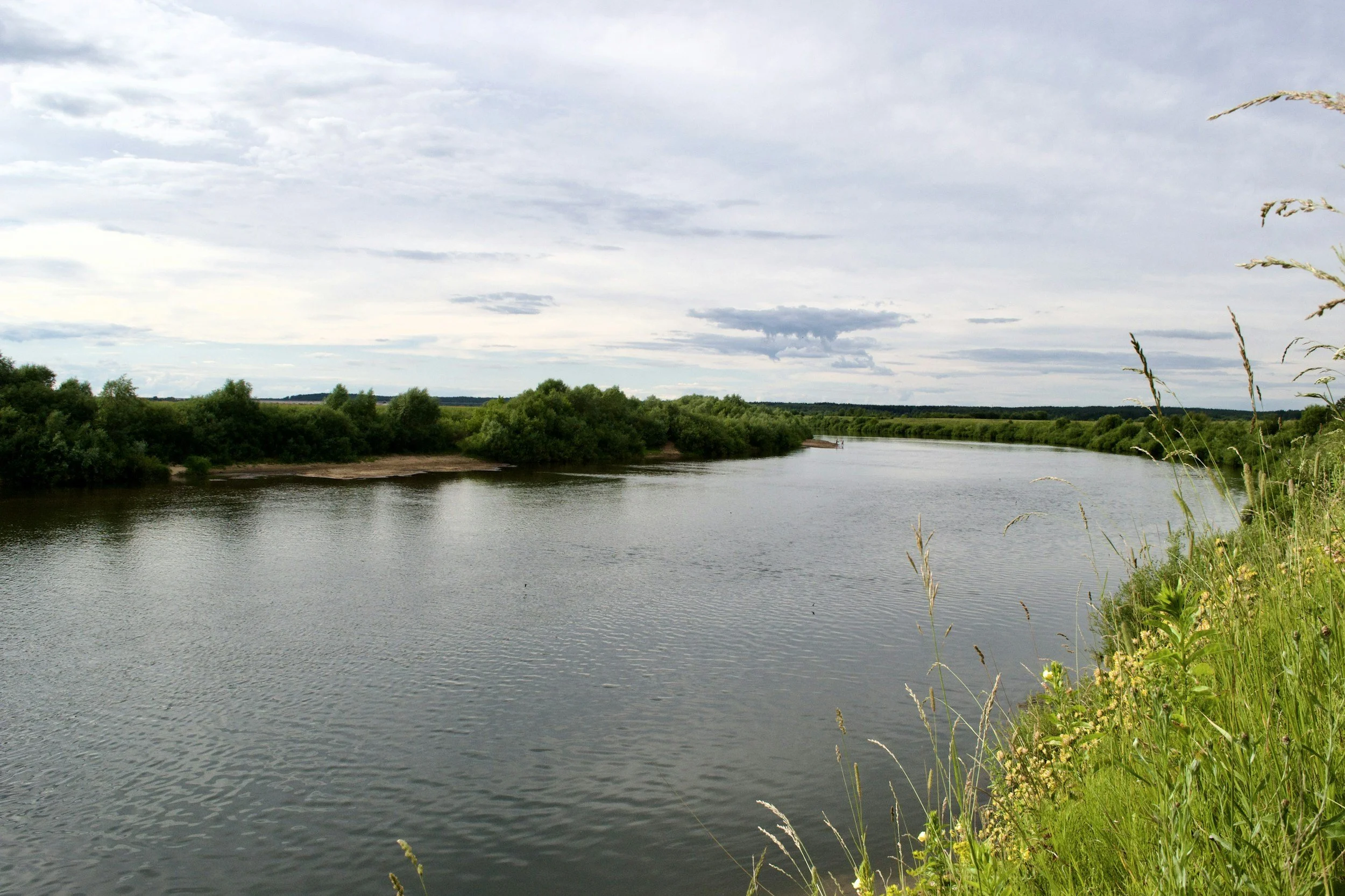 Defending a river, defending a way of life: Four perspectives on saving the Apalachicola River