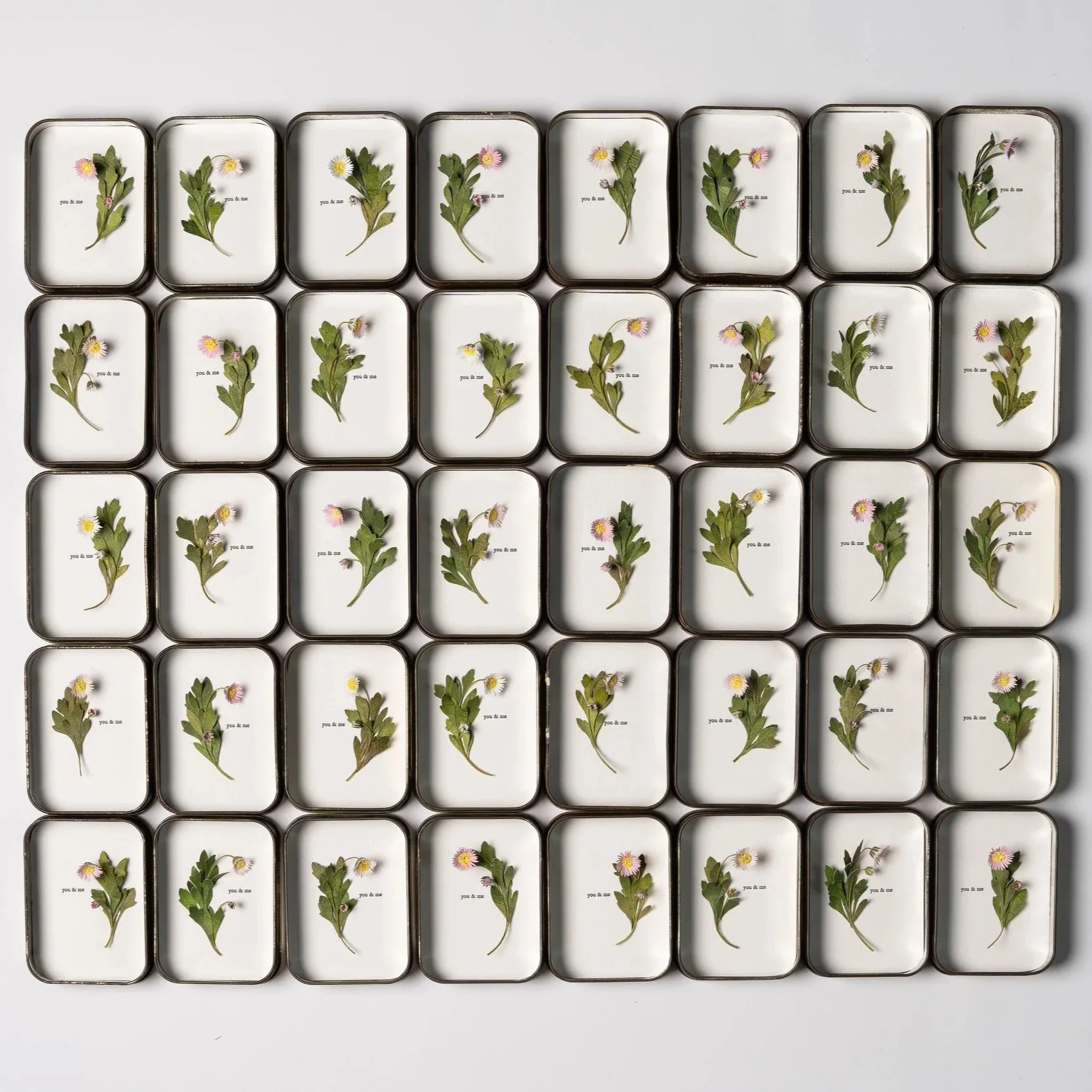 081.jpg