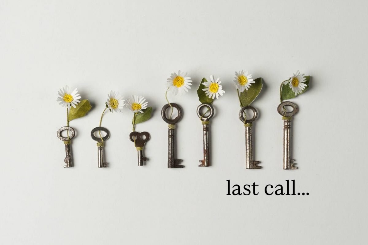 Last call for UK postage in time for the holiday 🎄 

I&rsquo;ve still got a few lovely bits and pieces on my website for any last minute gifting for the specials in your life &hearts;️

Shop our tiny tokens, special edition prints and flower tins at