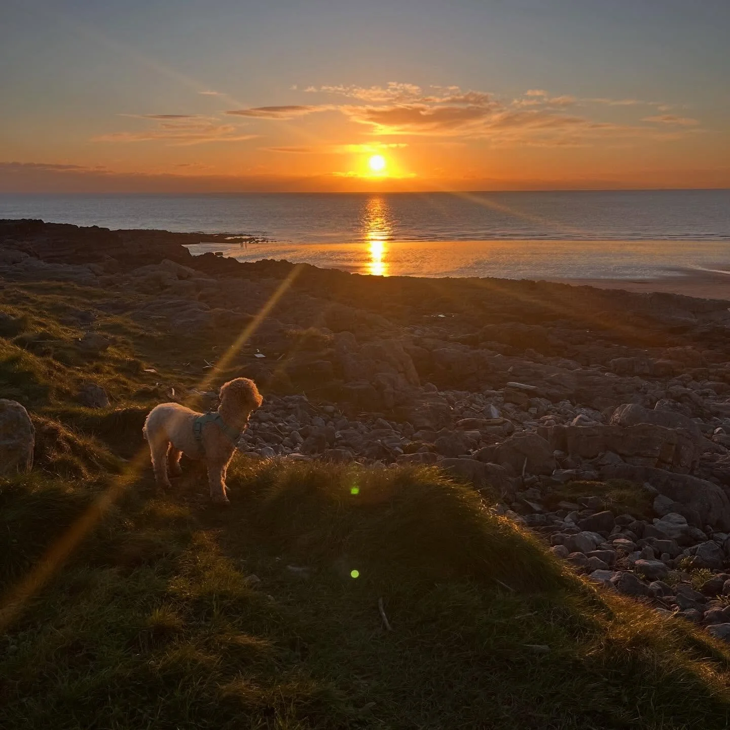 Sneaking into the New Year so very quietly, so very gently and feeling so full of magic and possibility✨

So much I&rsquo;m looking forward to, some bits I&rsquo;m ready to let go of and so much more I&rsquo;m finally ready to welcome in ✨

Be kind 2