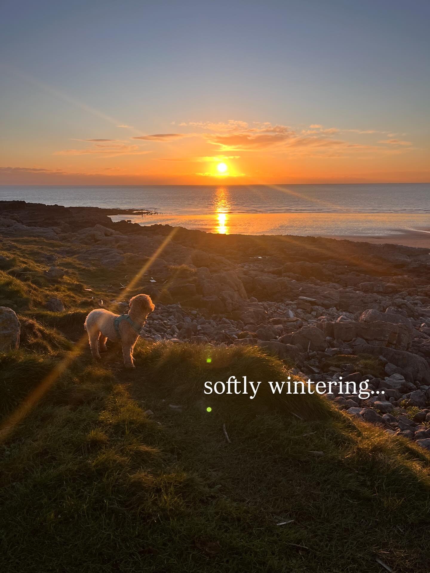 &ldquo;Doing those deeply unfashionable things - slowing down, letting your spare time expand, getting enough sleep, resting - is a radical act now, but it is essential.&rdquo;

A mantra to live by in 2026, beautifully written by @katherinemay_ 

Con