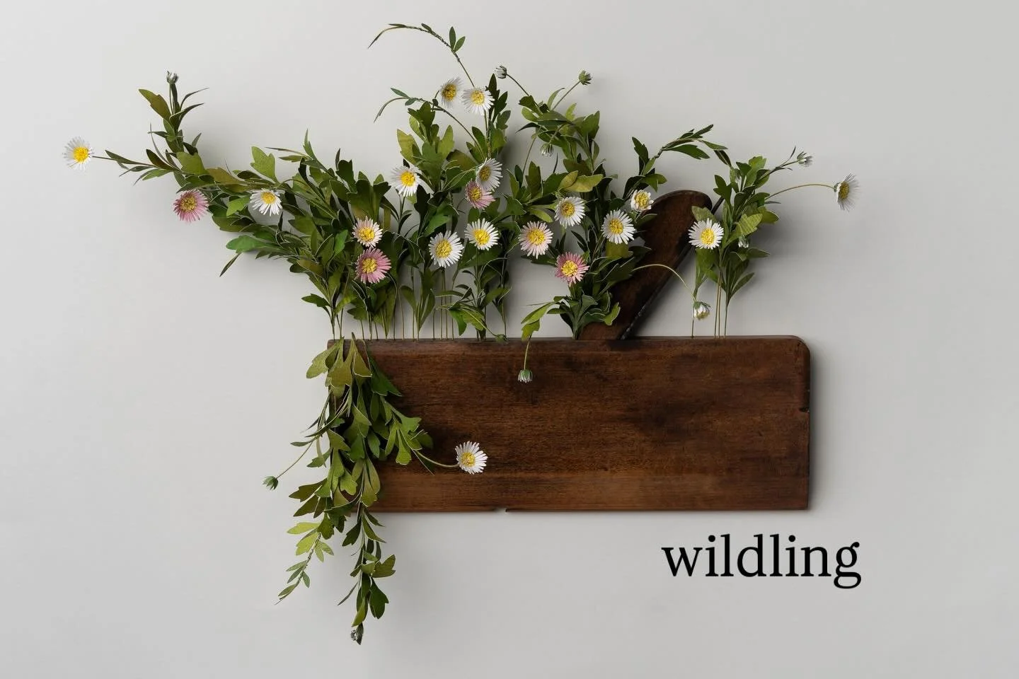 Wildling ✨ 

Always places,
Always spaces. 
Your hand tucked neatly into mine,
Just as it&rsquo;s always been.
Do you remember the dancing girls?
Tumbling carelessly in the sun,
If only we could pause time, 
Wildlings swaying softly on the breeze. 

