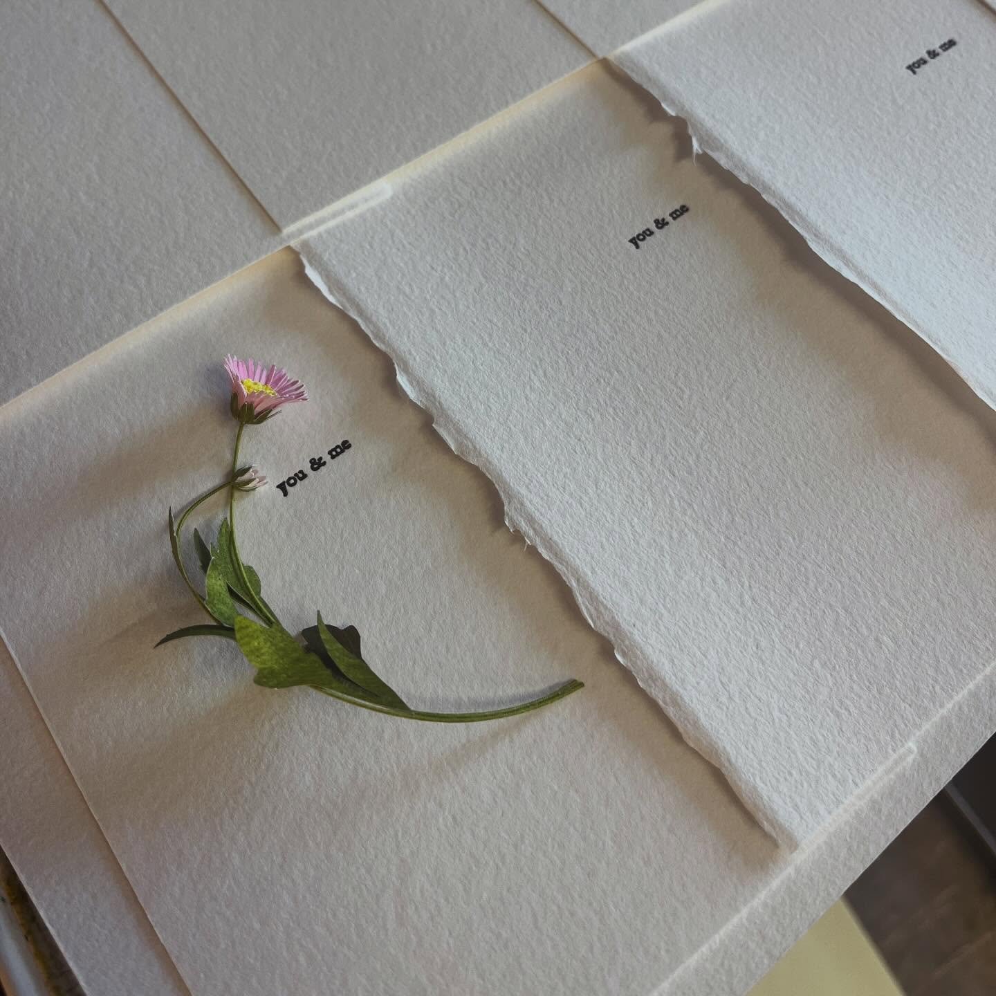 Right now I&rsquo;m on the @thedesigntrust #dreamplanedo monthly accountability call&hellip; IYKYK&hellip; there&rsquo;s lots of interesting chatter around socials, showing up and accountability, so here&rsquo;s one for me. 

This weekend I&rsquo;ll 