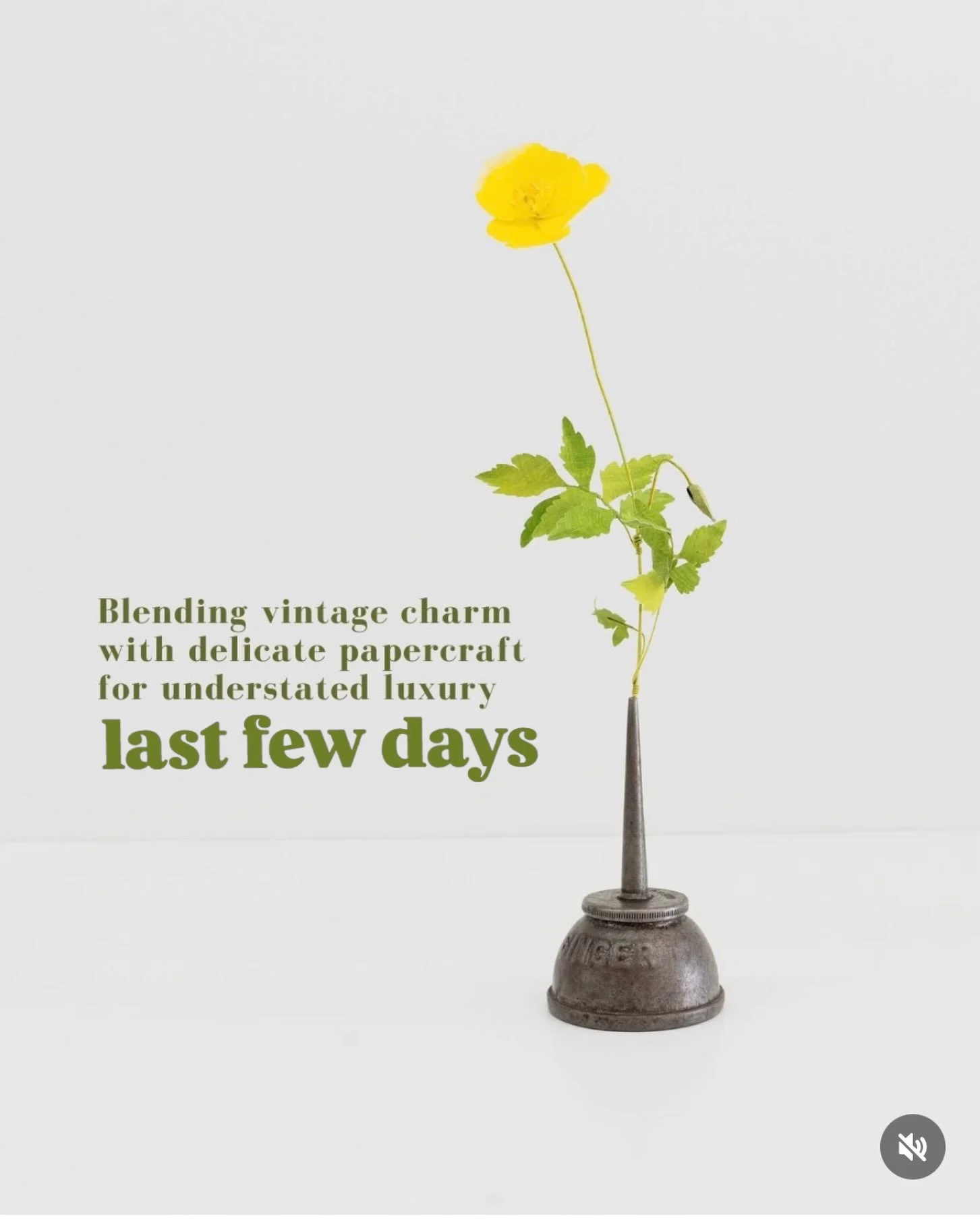 It&rsquo;s the last few days to see the beautiful Our Tender Futures @emeraldframes in Chalfont St Peter. 

A beautiful exhibition featuring the work of @alimackie.art @josiecltg and @portiaknightseaweed, each artist considers how we feel, nurture an