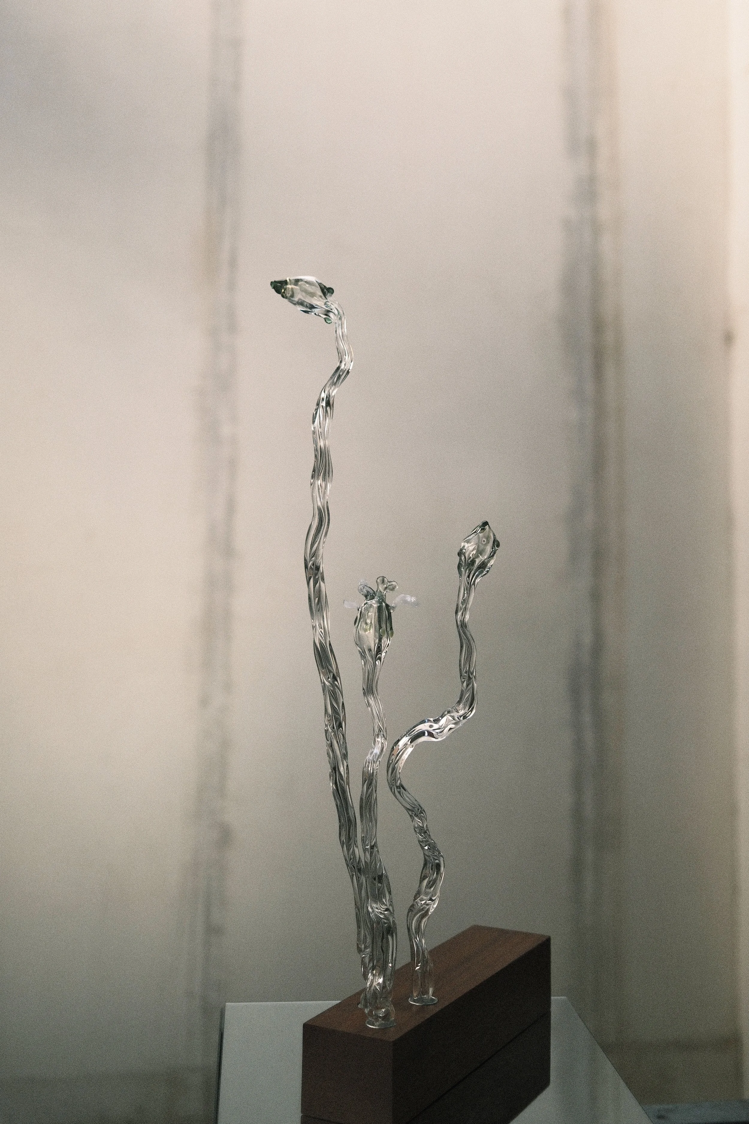 DSCF8261-1.jpg