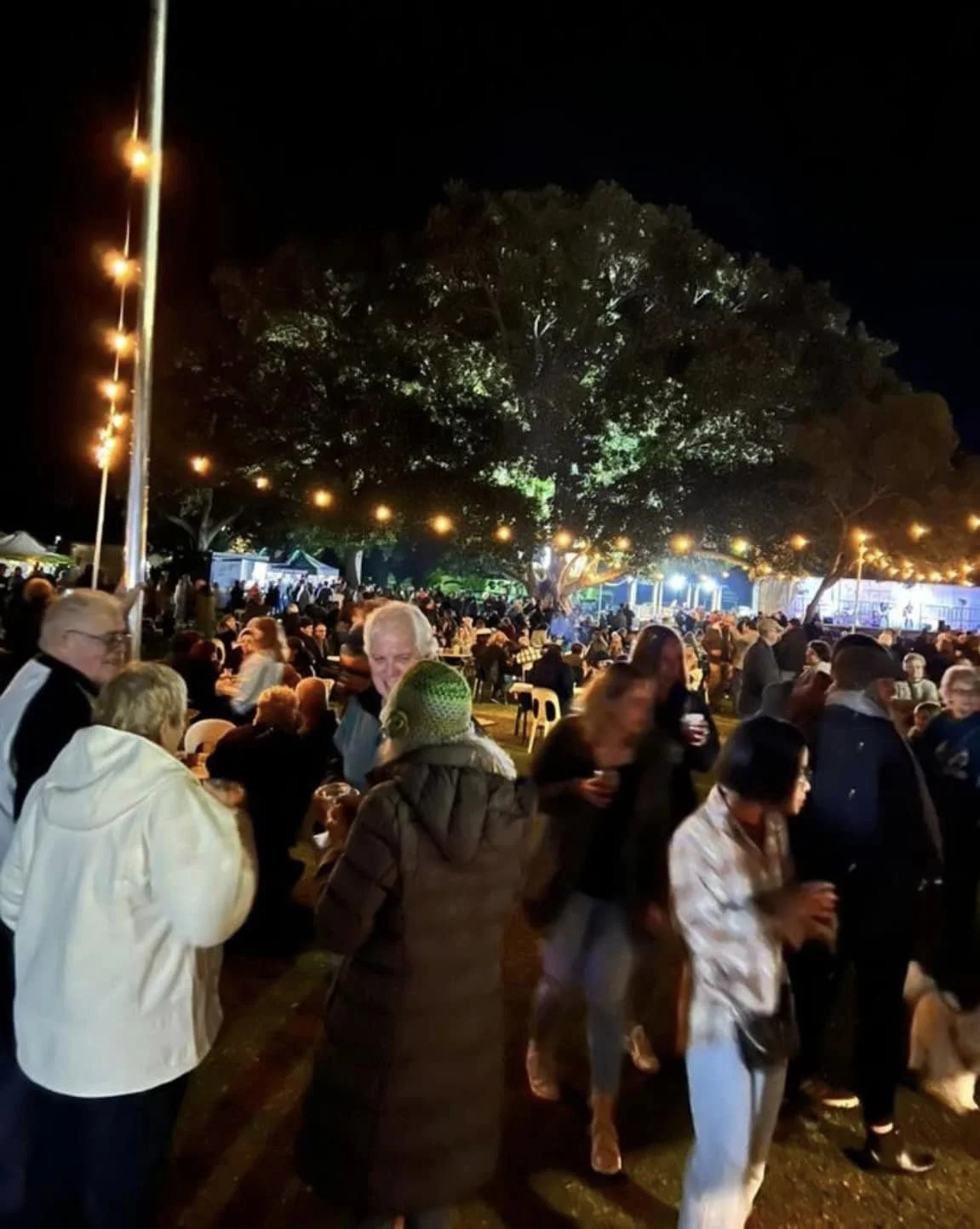 Crowd of people gathered outdoors at night with large tree and string lights overhead, attending a festival or event.