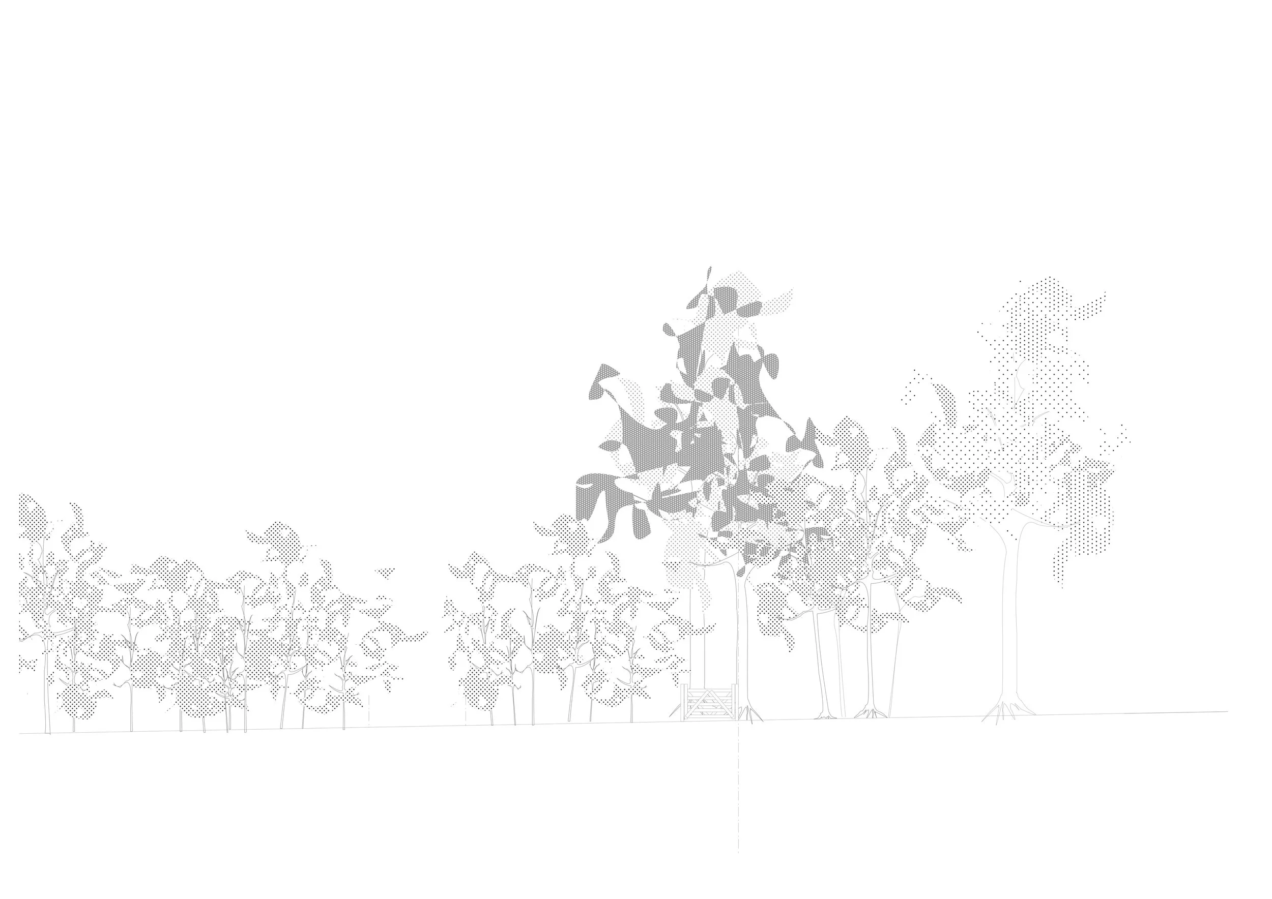 Context Elevation from East Rev Ab.jpg