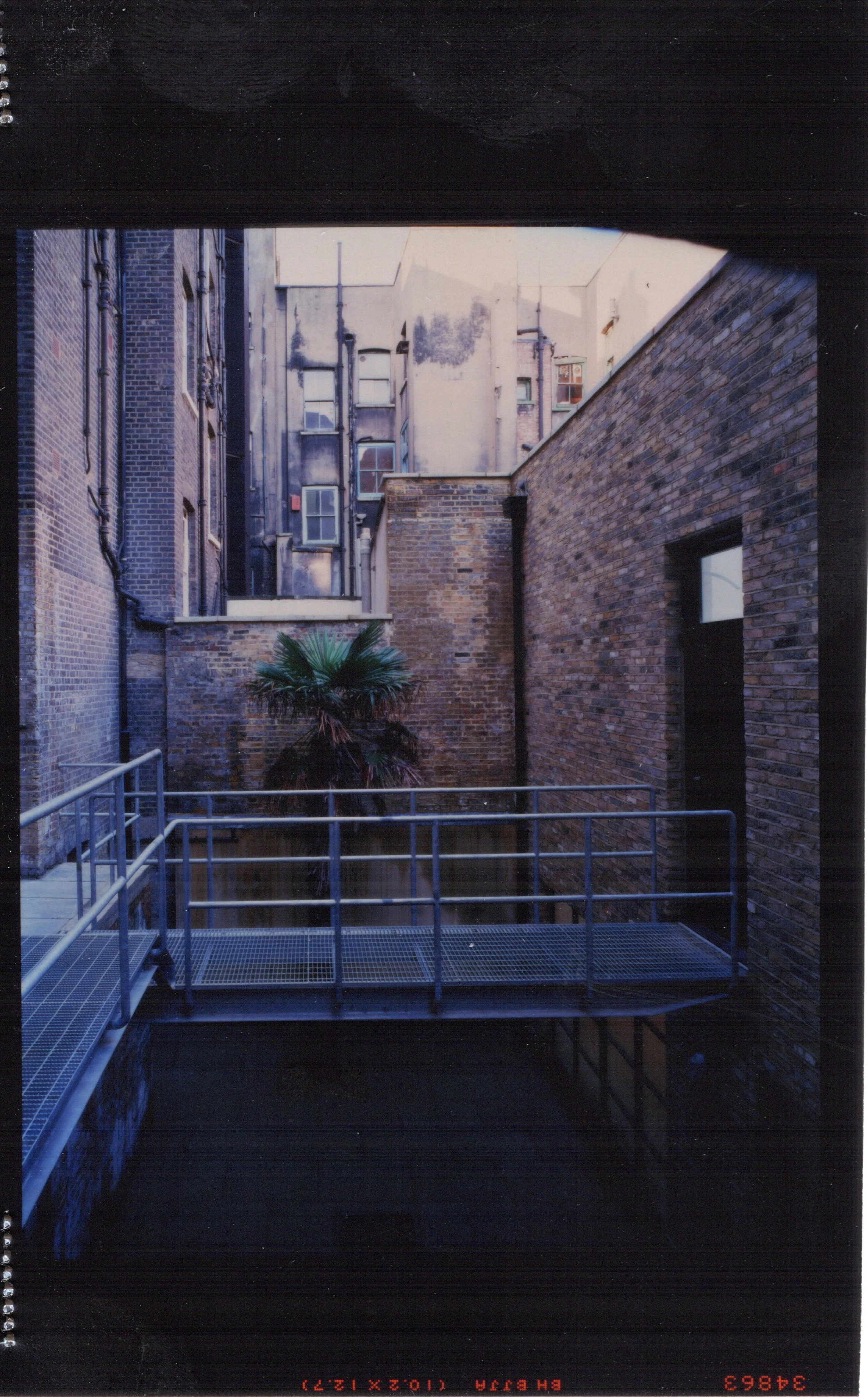 32 CS Lorenzo Elbaz.jpeg