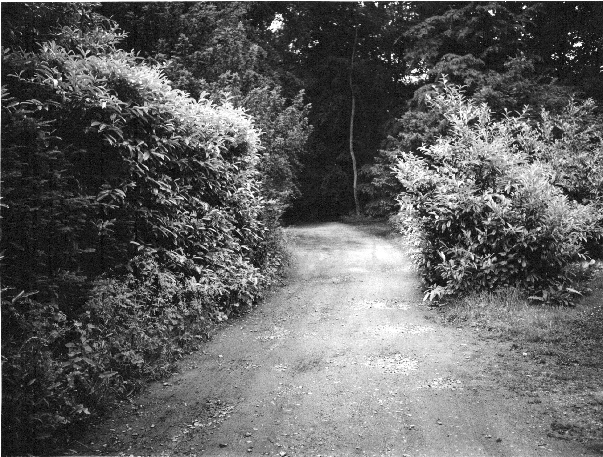 025 CCW Model and Site Photos  3.jpeg