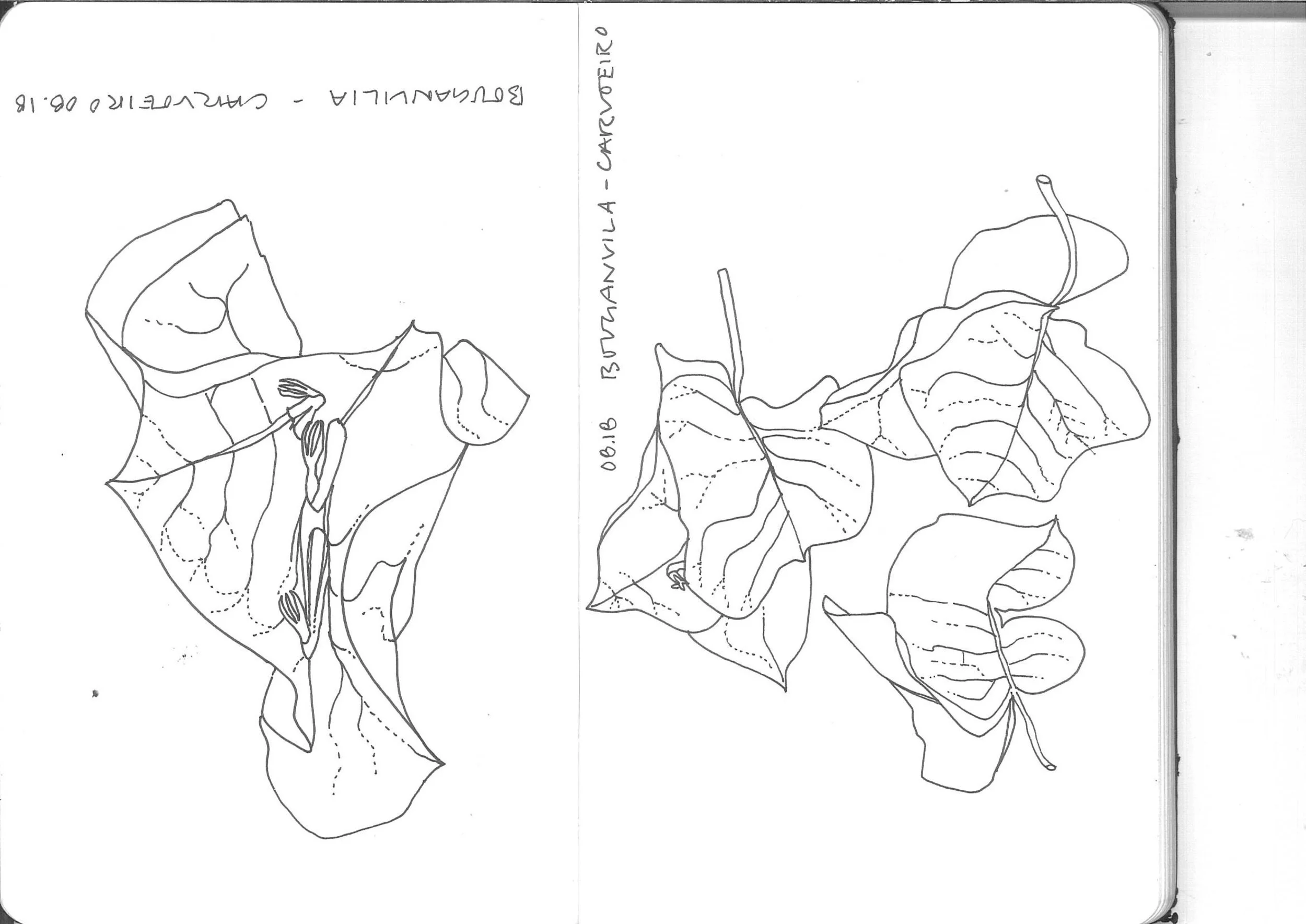 Moleskin Soft 96.jpeg