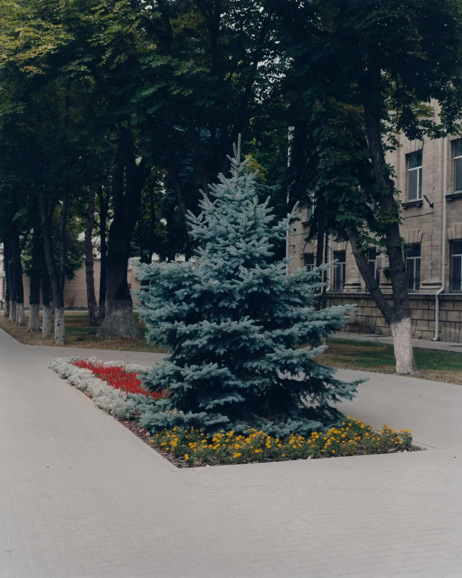 Moldova_+%2840%29.jpg
