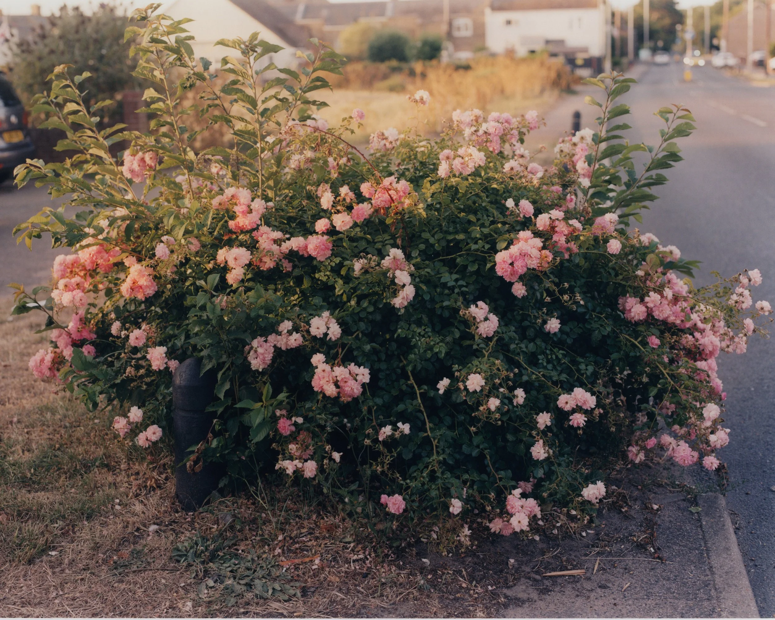 Print_Scans_Oliver_web.jpg