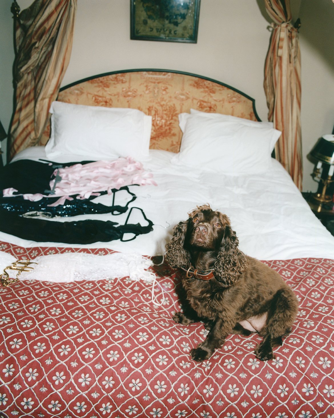 Vogue  (12)_web.jpg