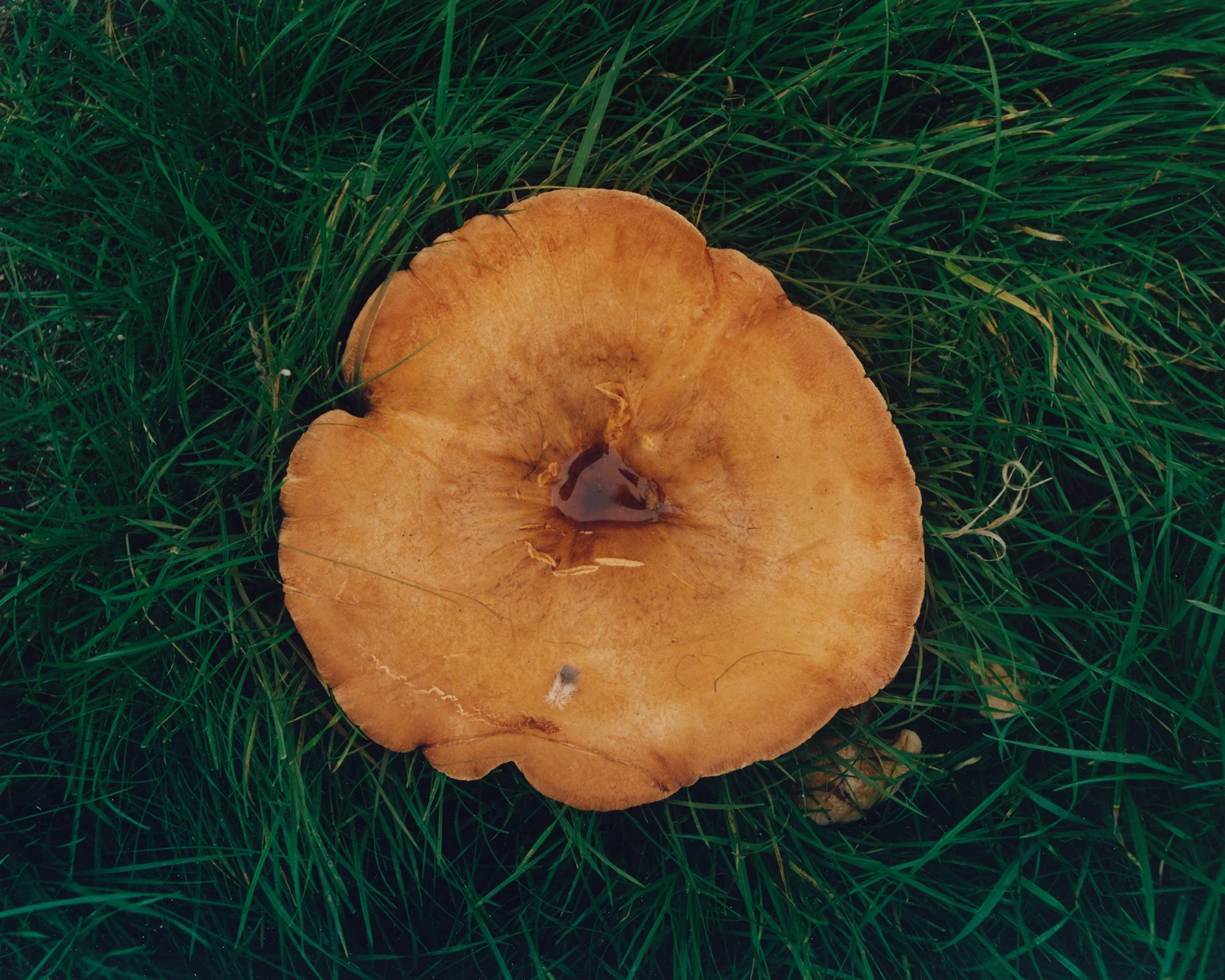 Album cover_web.jpg