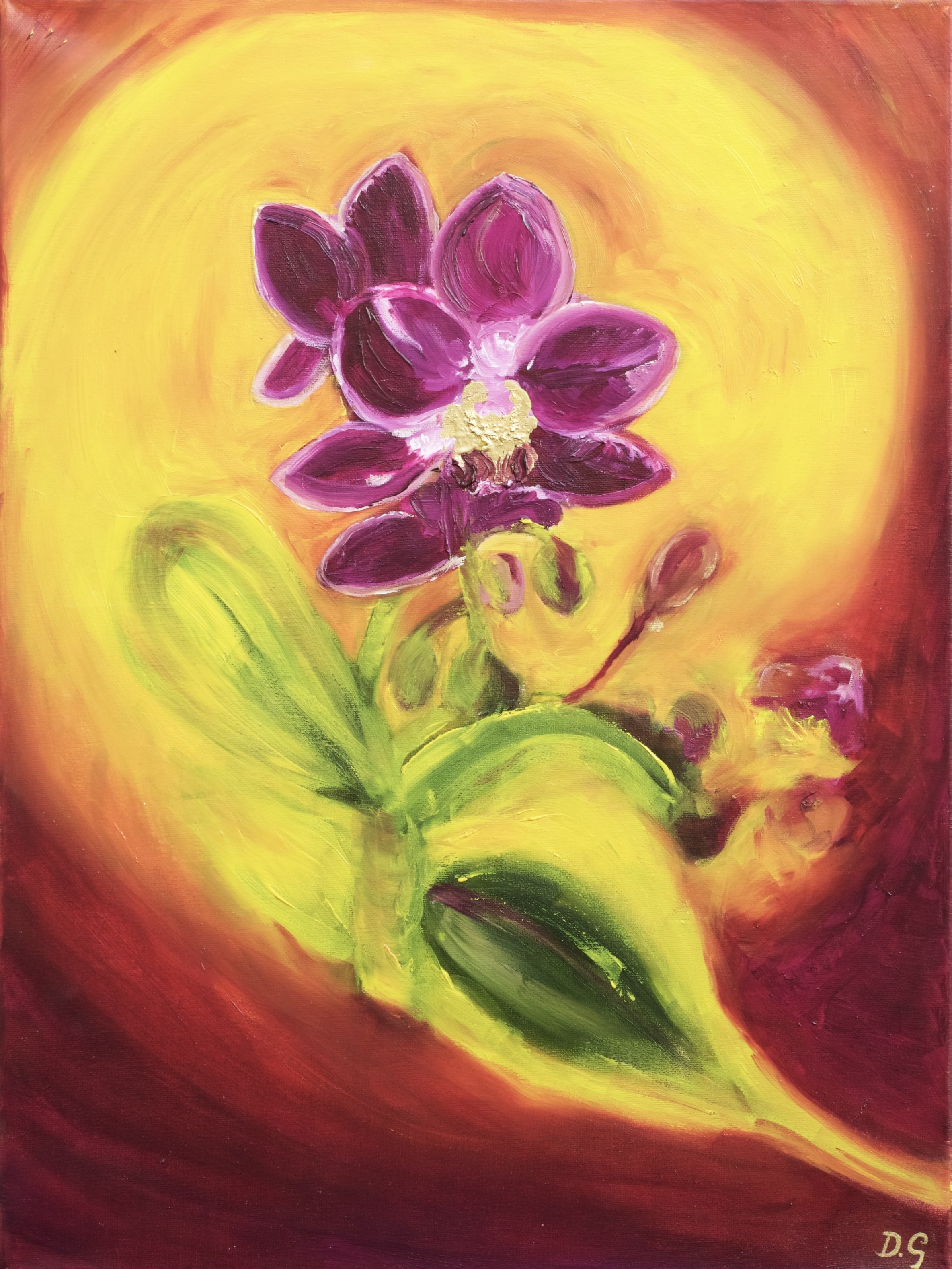 Magenta and Yellow orchid .oil on canvas .2023 . 45.5 x 61 x 1.5 cms .
