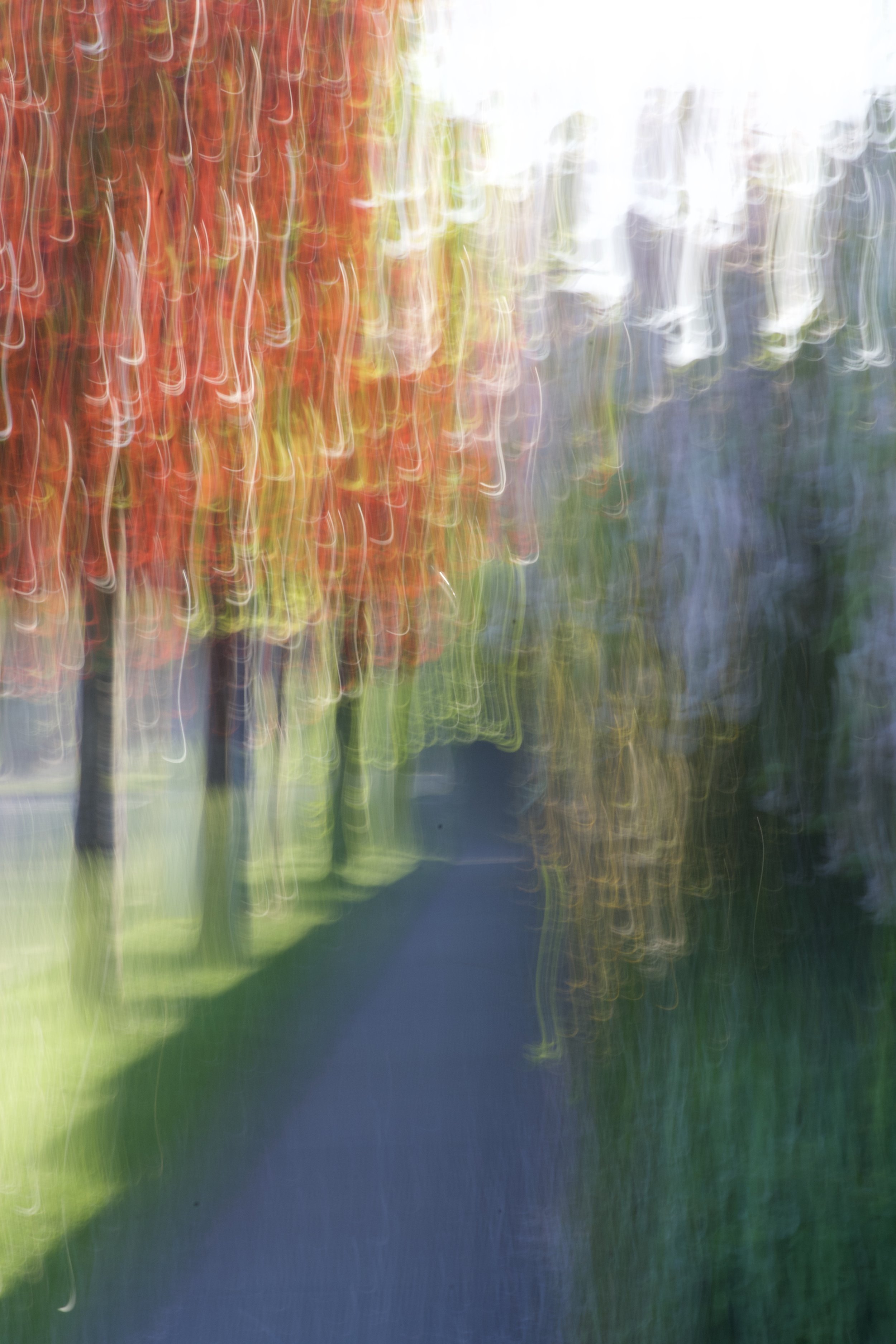 The walk ,photography.2025.
