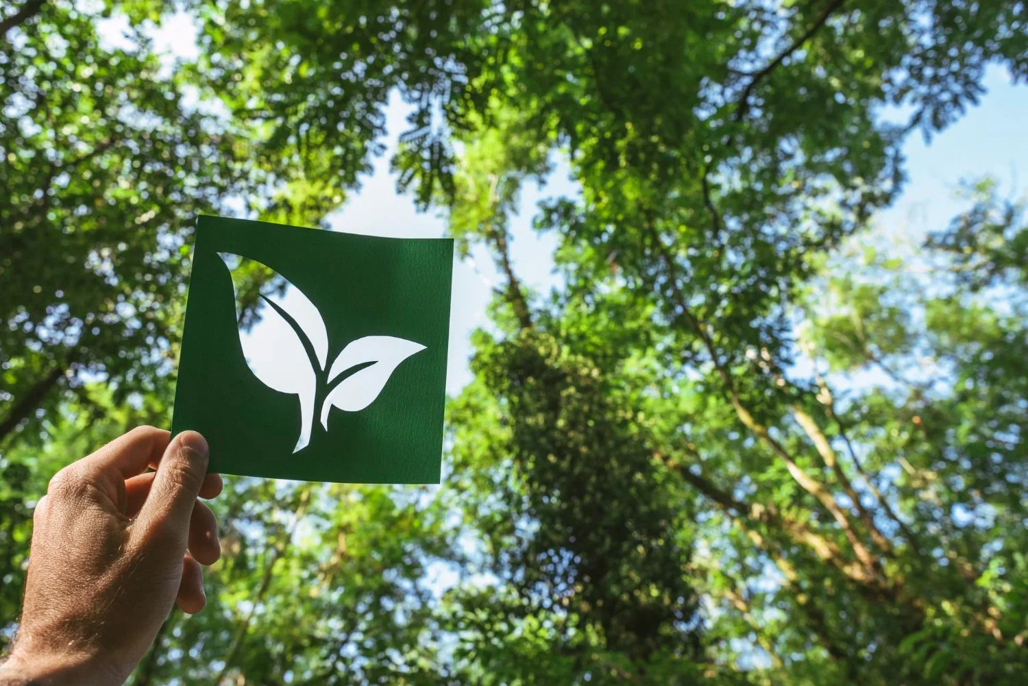 ESG rapportage Duurzaam VSME