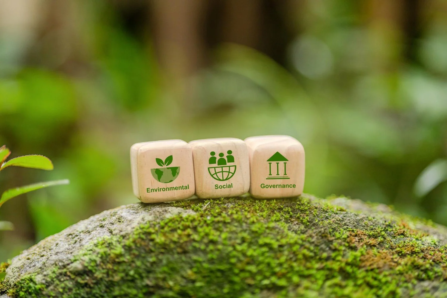 Wat is ESG