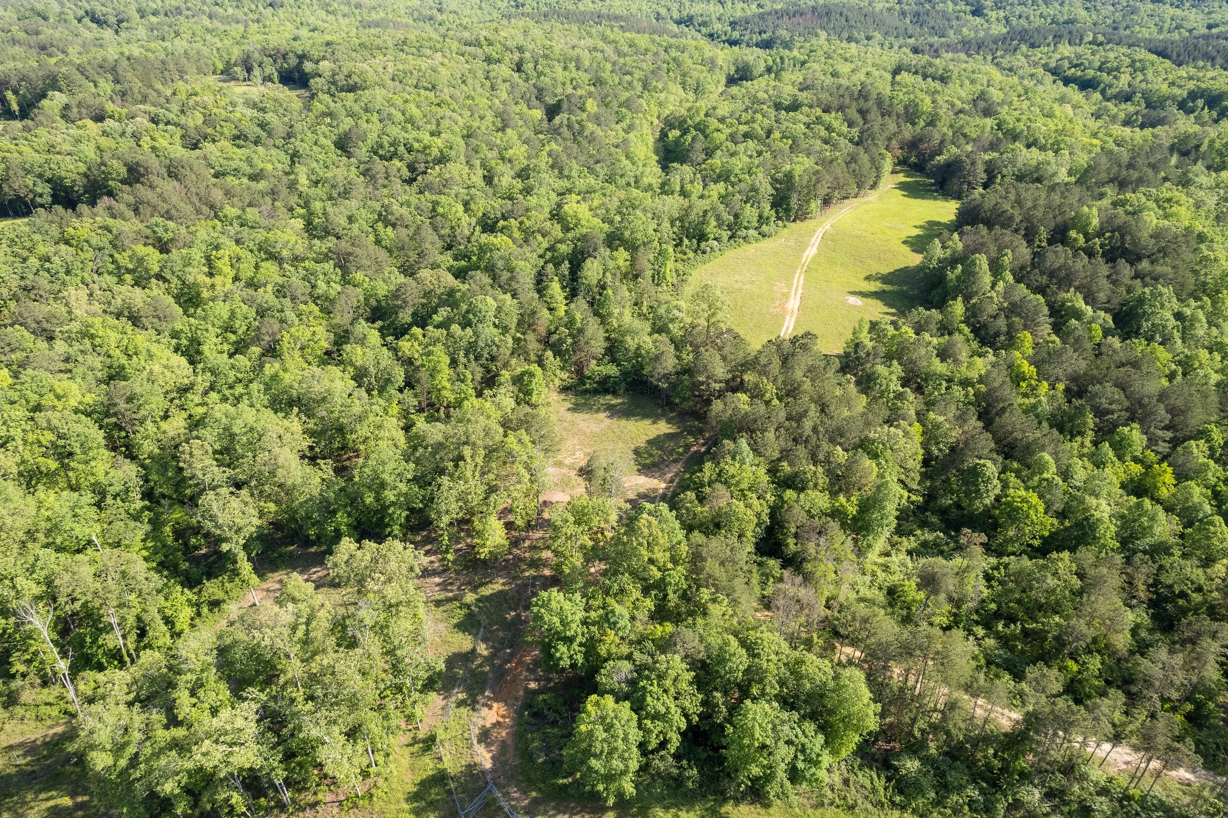 DJI_0682-HDR.jpg