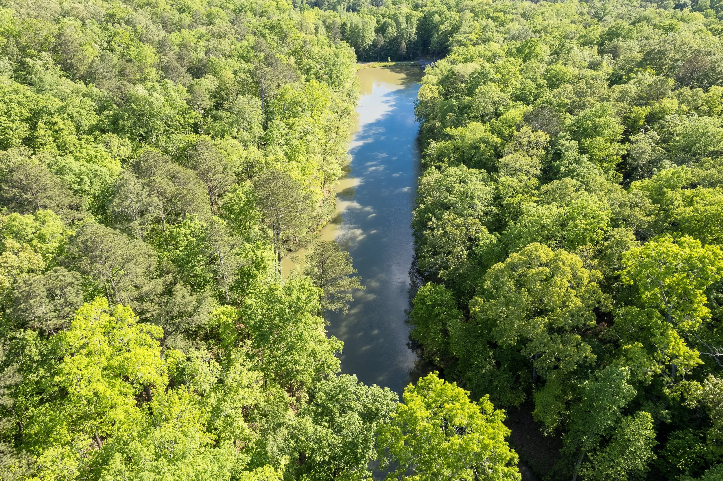 DJI_0687-HDR.jpg