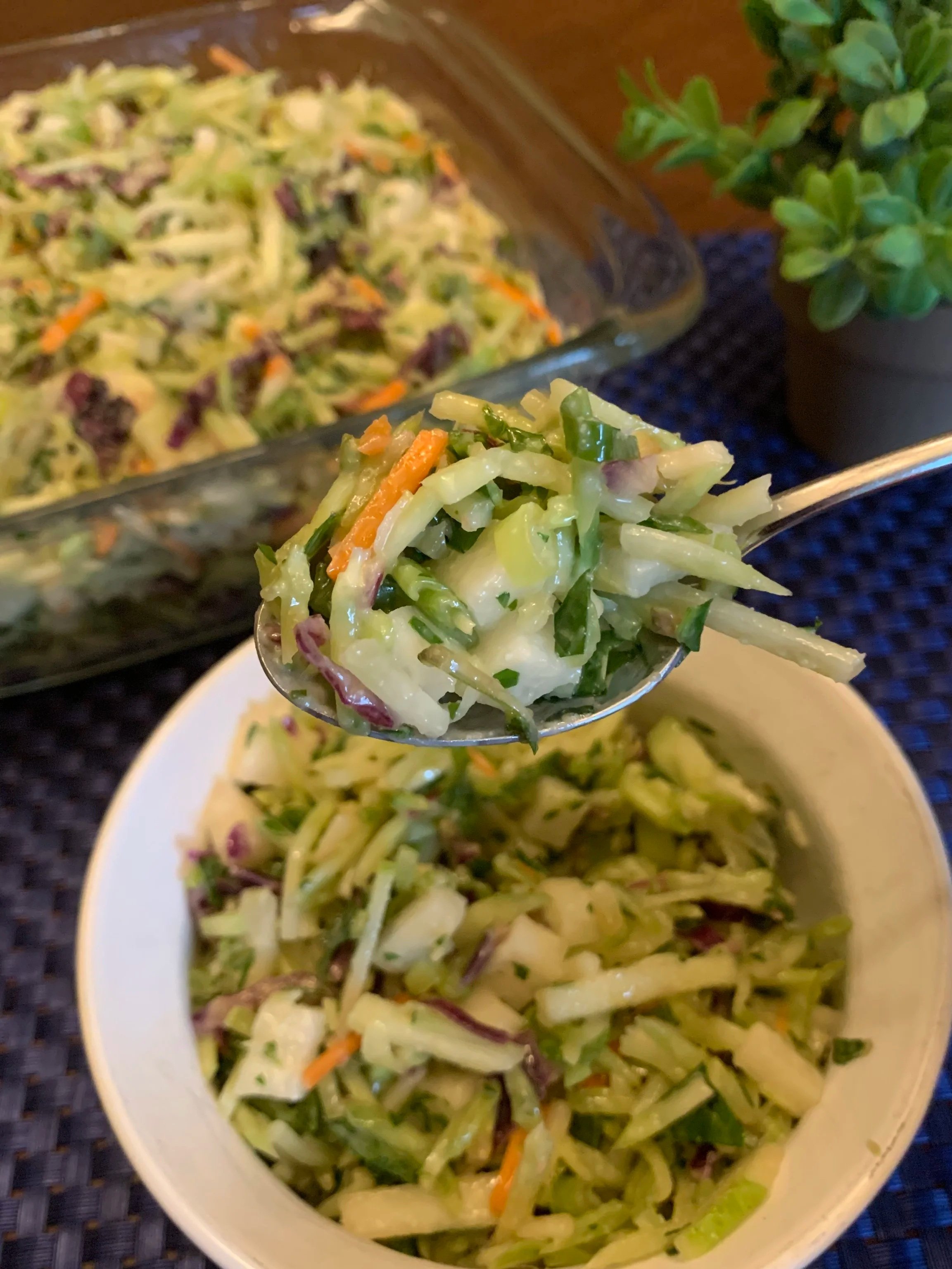 Broccoli Slaw…The Perfect Summertime Side Dish! 