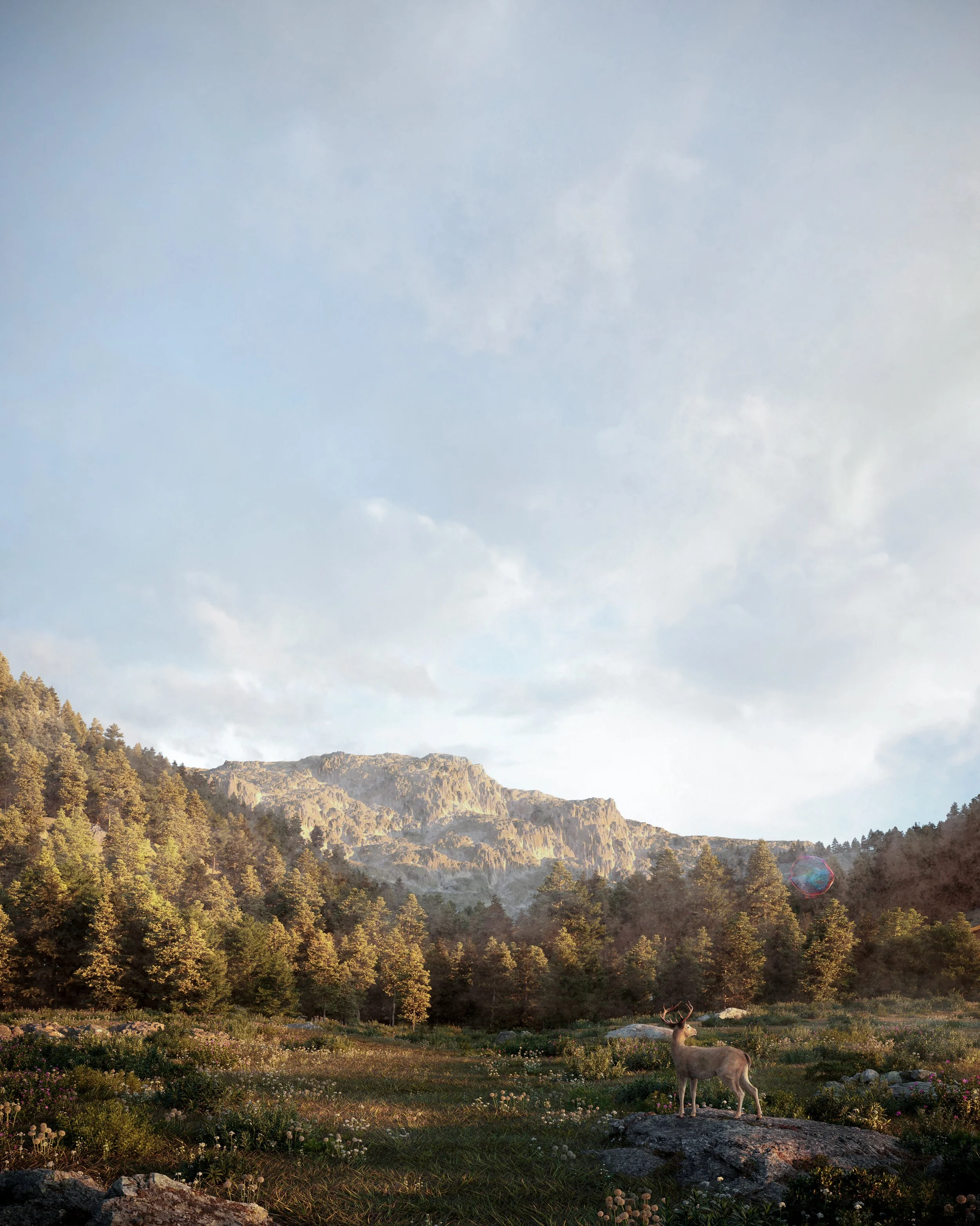 final_edit 04 copy.jpg