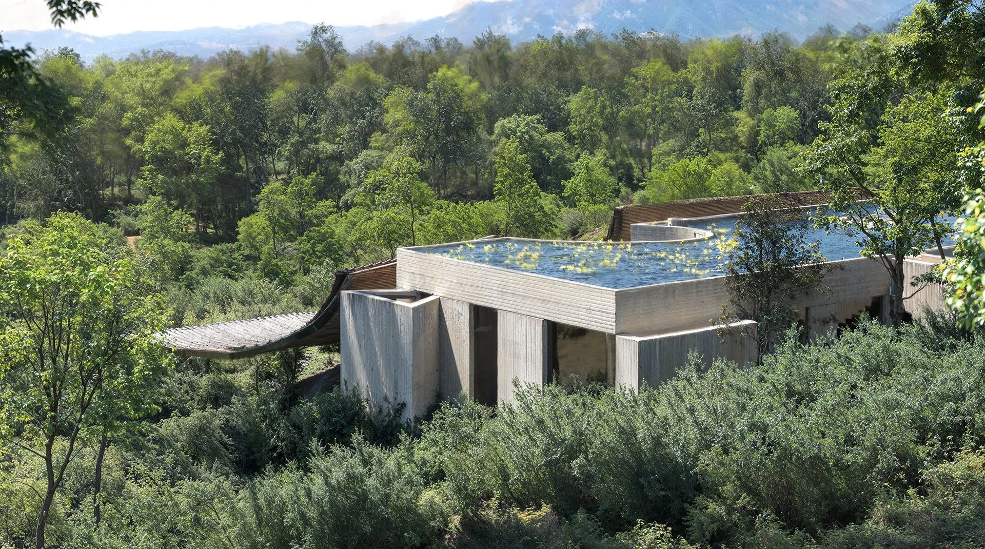 teste frio editado copy.jpg