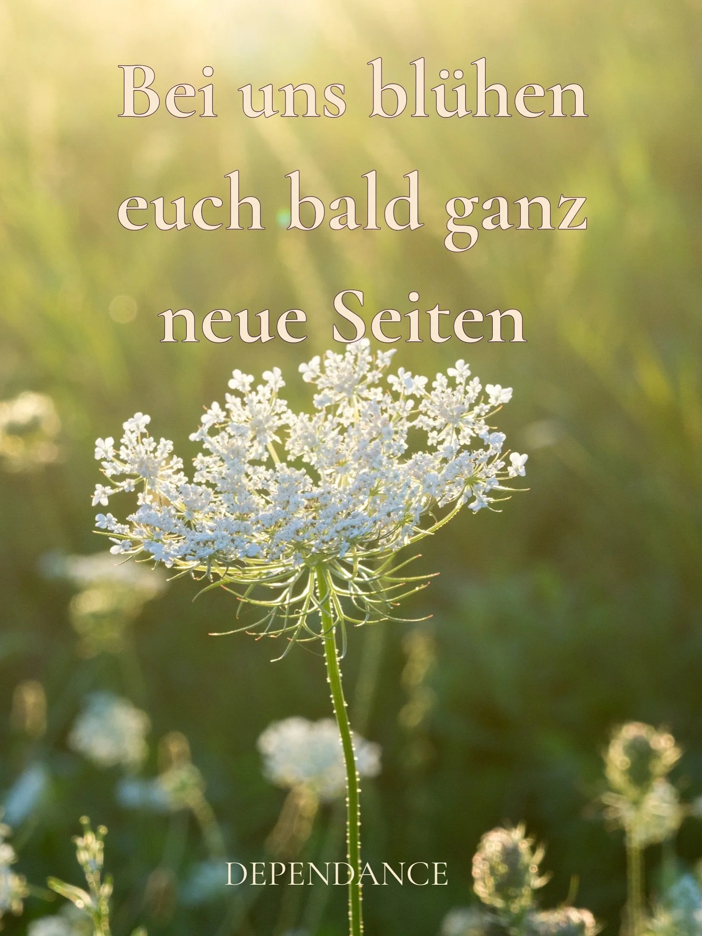 Damit meinen wir, dass unser Sortiment anders, vielf&auml;ltiger, diverser wird &ndash; in jeglicher Form. Vielleicht h&auml;tten wir gleich &bdquo;Andere Seiten&rdquo; schreiben sollen, aber das klingt nicht ganz so gut. Die Dependance soll zu einer