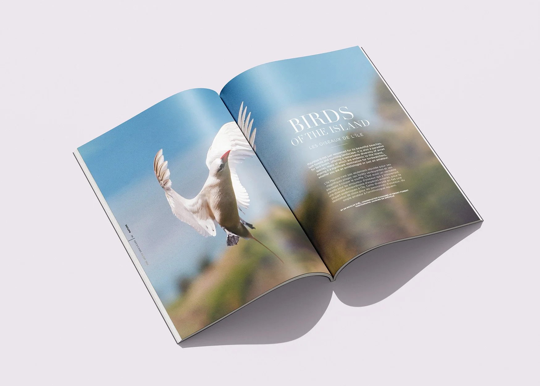 Beachcomber magazine, ouvert avec une grande photo d'une mouette en vol, ciel bleu, pages indiquant un article sur les oiseaux de l'île Maurice.