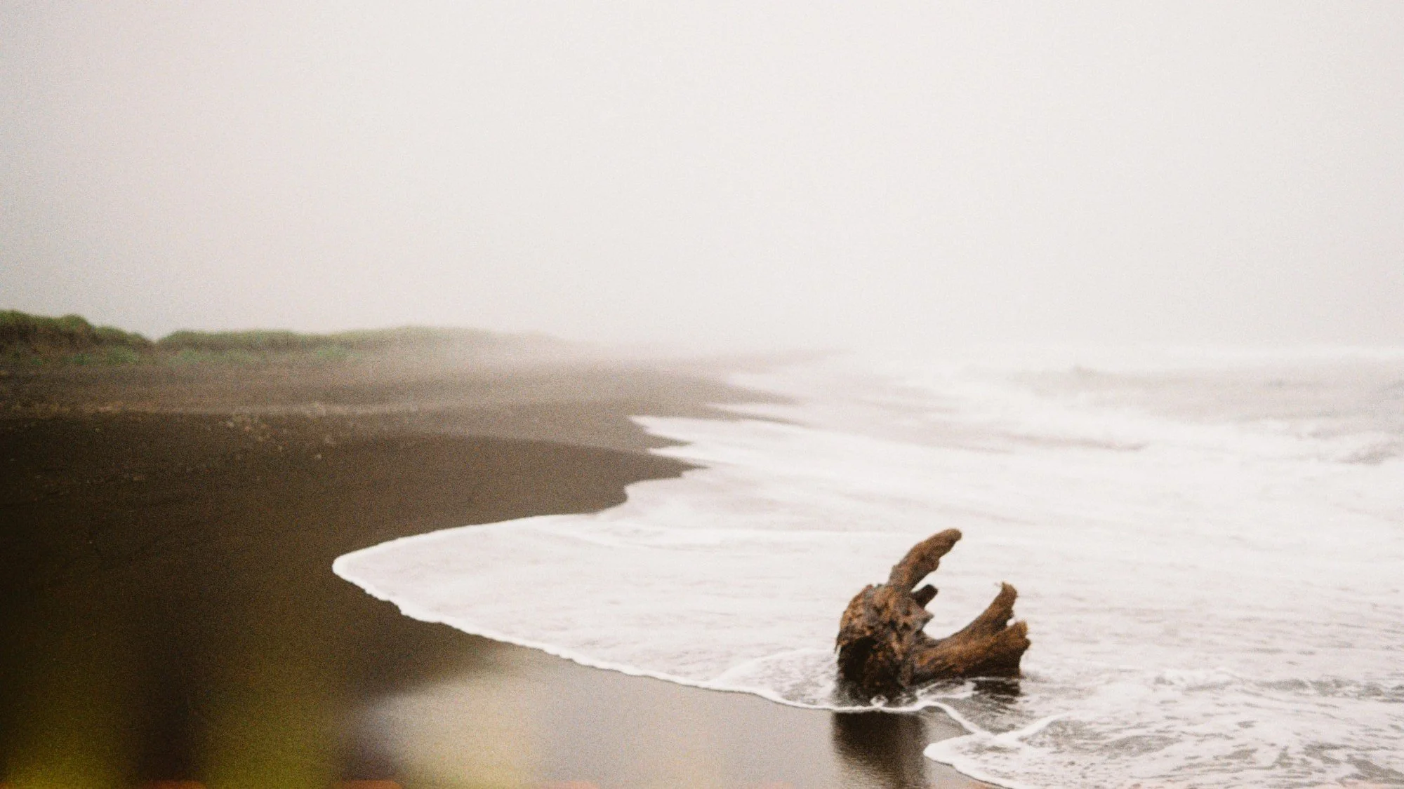 A foggy beach with dark sand, white ocean waves, and a large piece of driftwood near the shoreline.