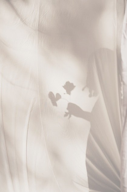 A shadow of a flower and leaves cast on a white fabric surface.
