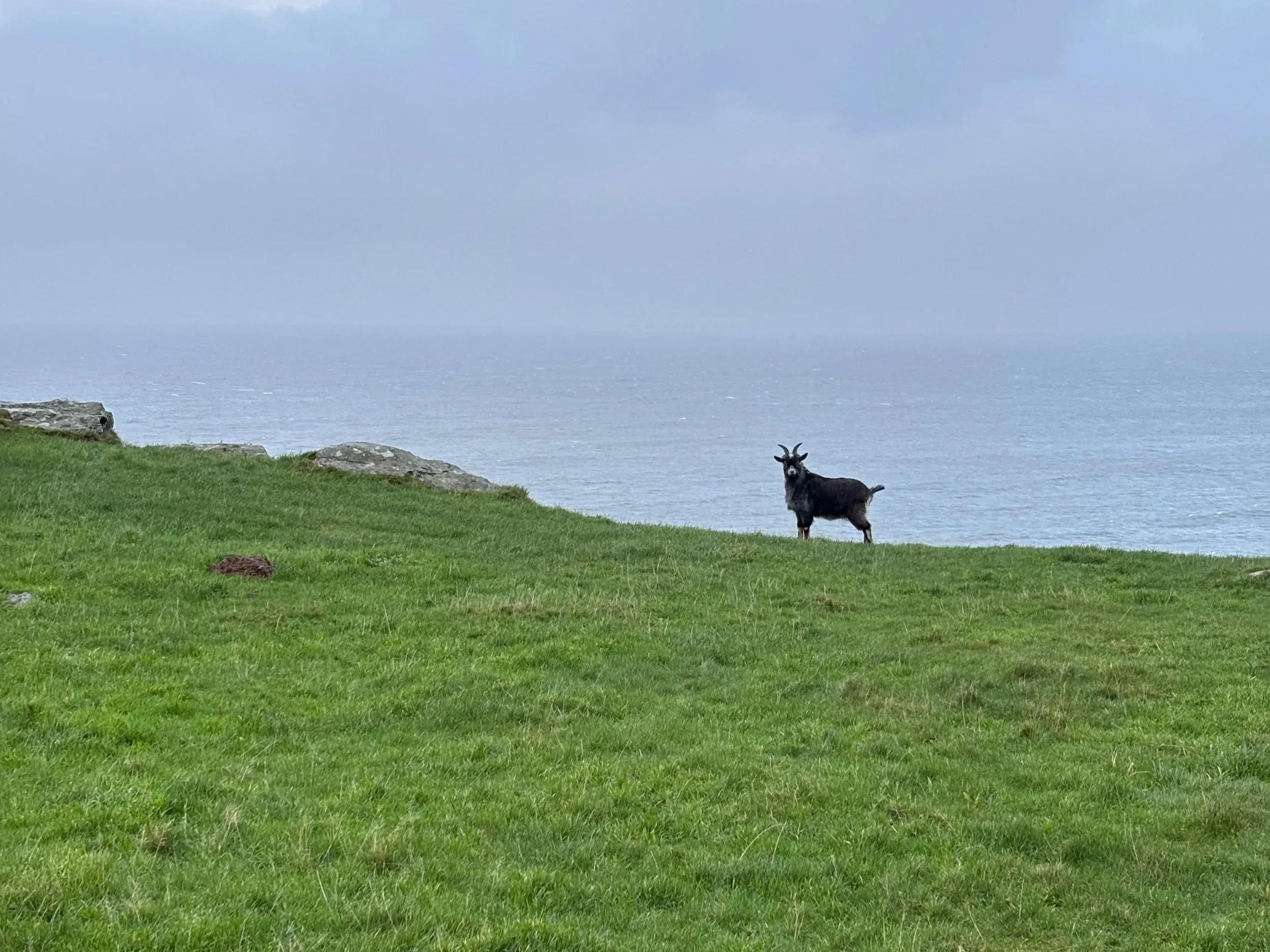 Run Britain day 50: Ilfracombe to Lynmouth