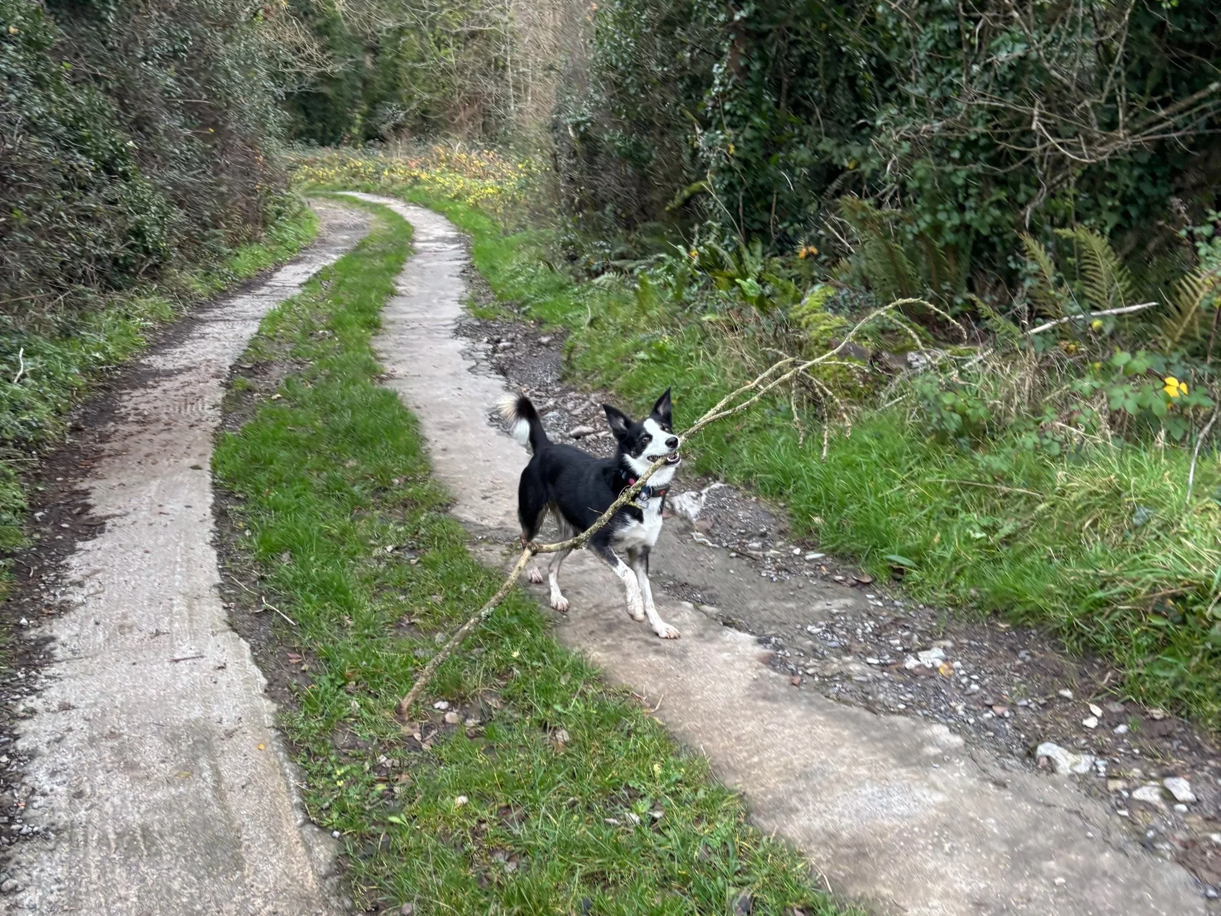 Run Britain days 58-59: Swansea to Loughor (The Gower Penisnula) 