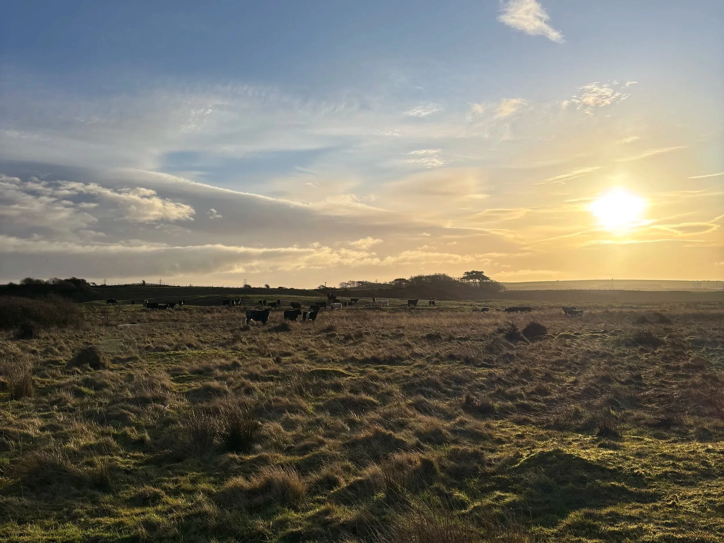 Run Britain Day 89: From Barrow to Millom