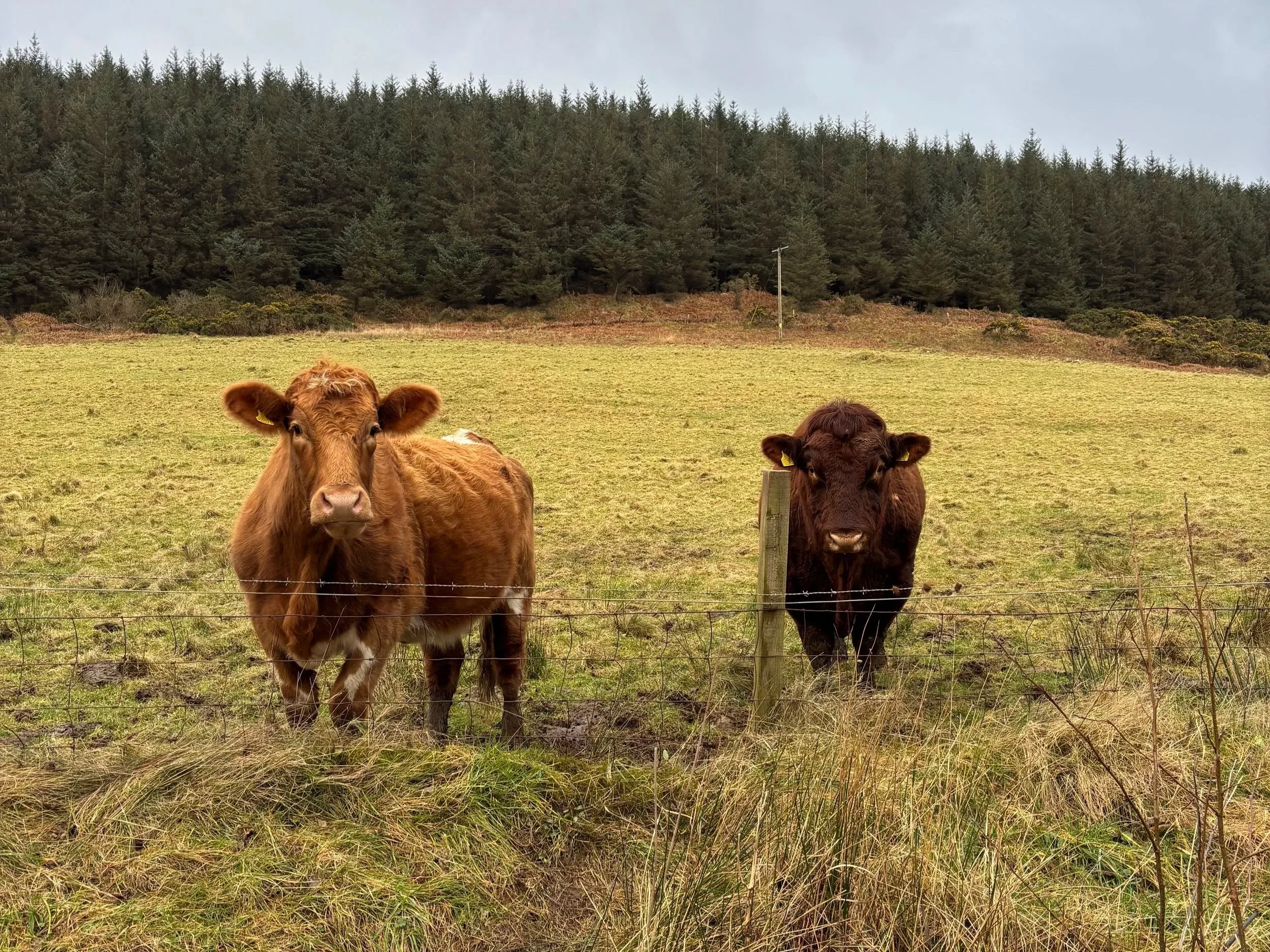 Run Britain Day 116: Who knows where 