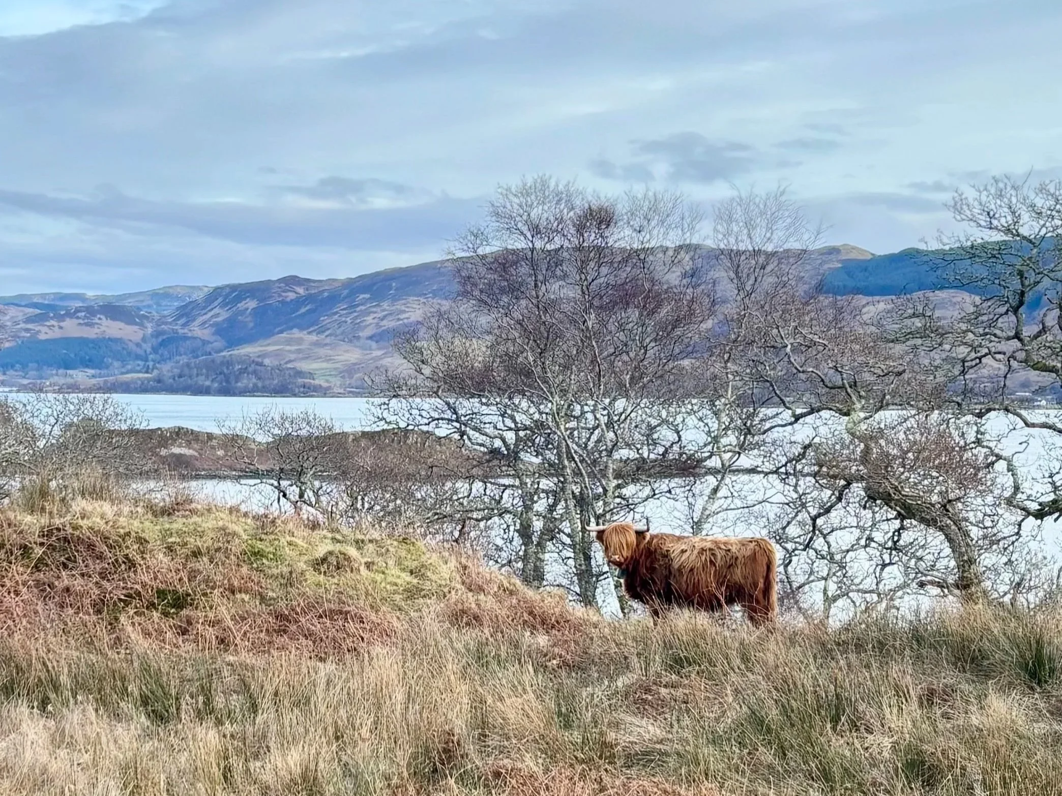 Run Britain Day 118: From Inverneil to near Oban 