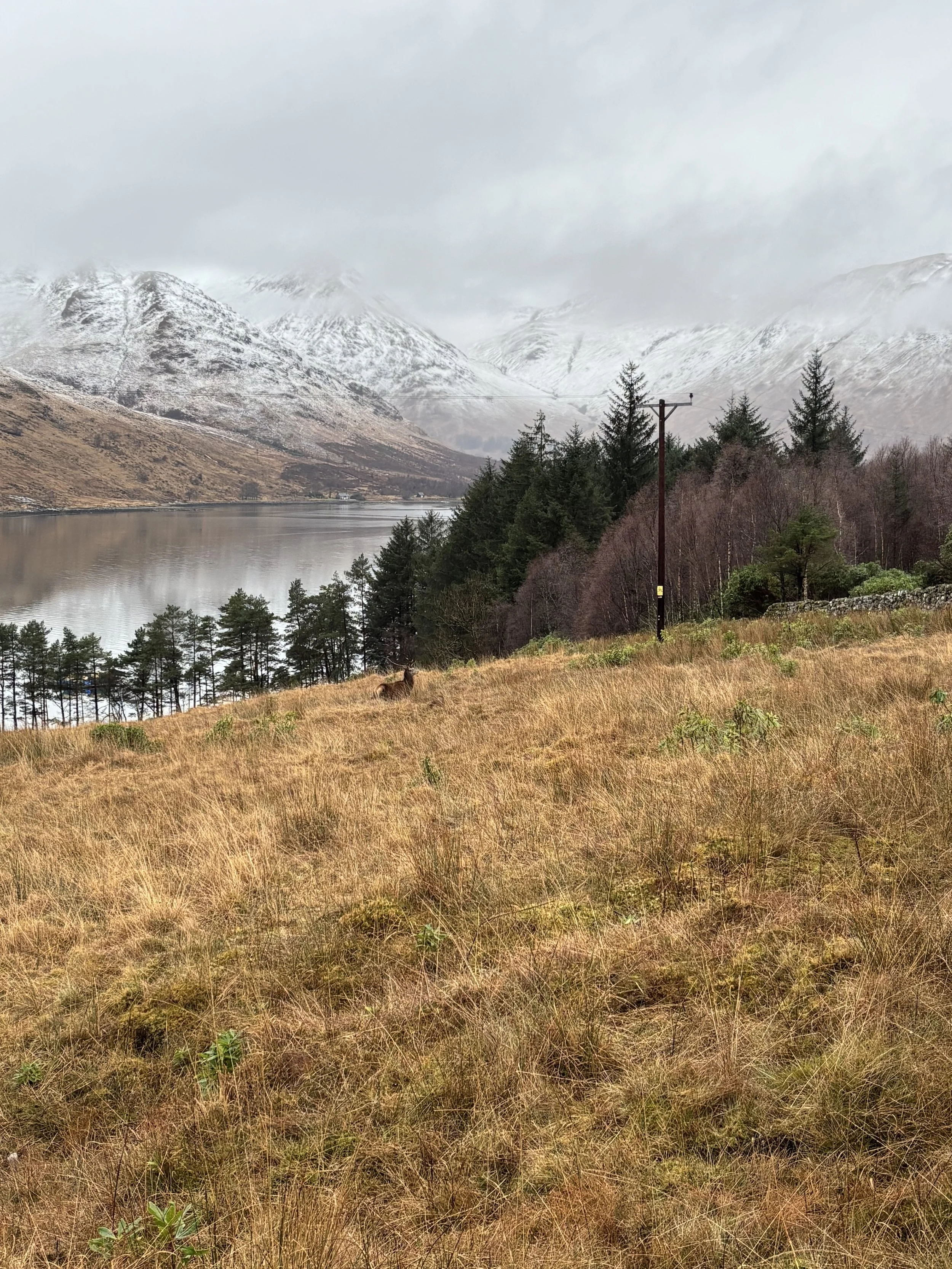 Run Britain Day 120 and 121: To Kingairloch 