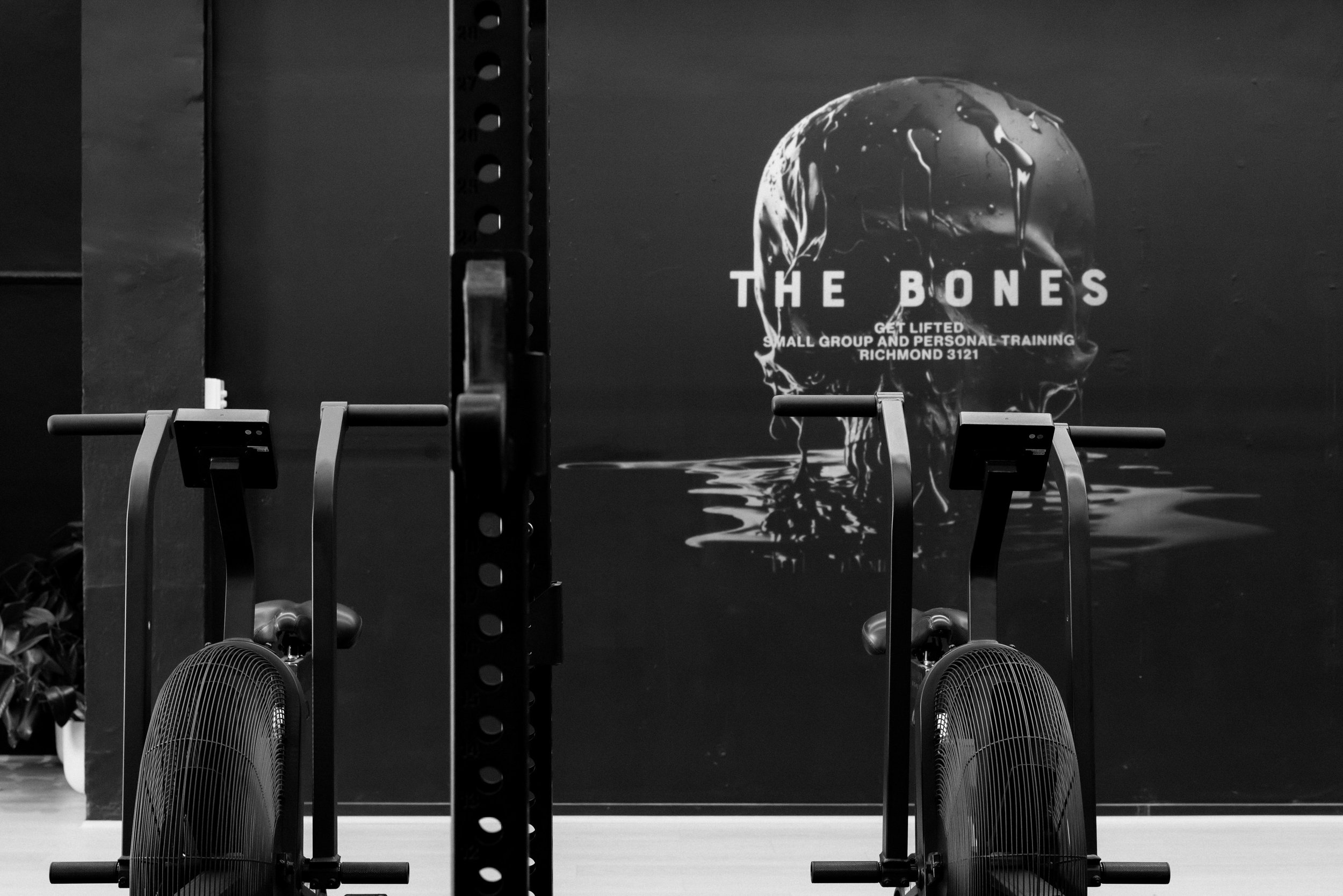 240812Bones-090.jpg