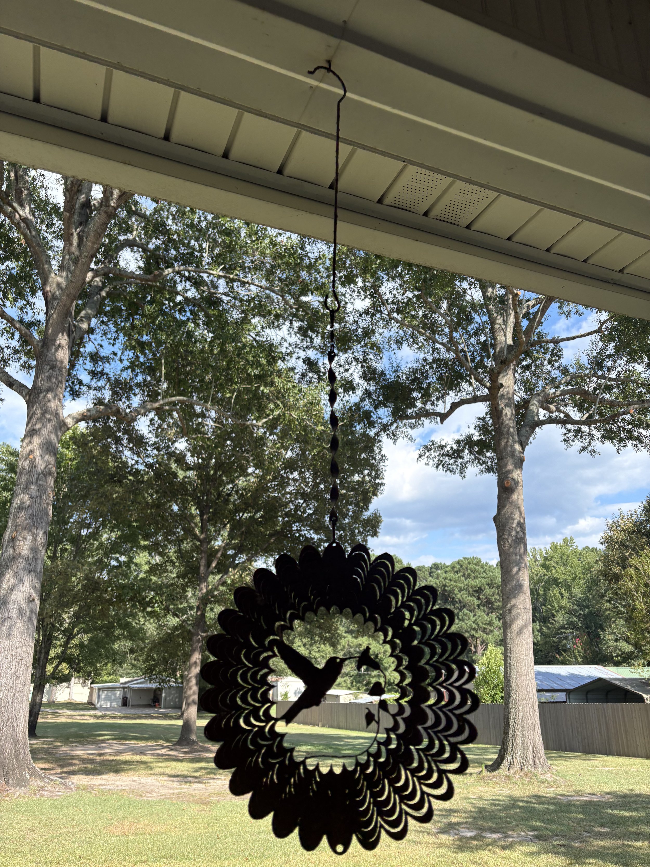 IMG_0894.jpeg