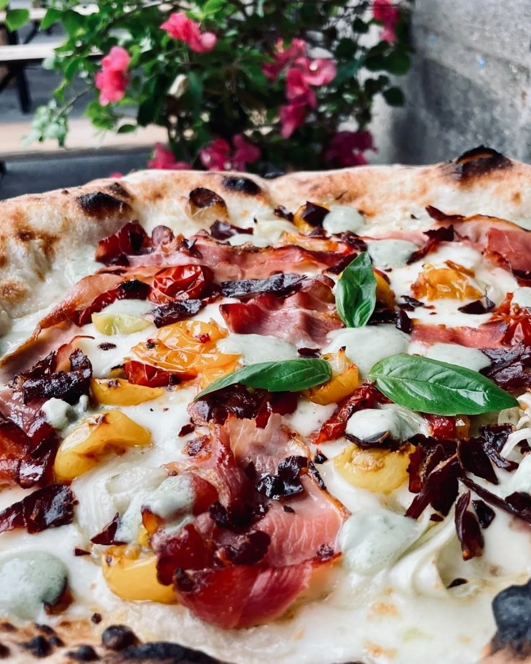 On a ce qu&rsquo;il vous faut pour contrer la nostalgie de la rentr&eacute;e&hellip; la pizza du moment, c&rsquo;est du r&eacute;confort &agrave; chaque bouch&eacute;e 🍕✨

🤍Mozzarella fior di latte
🟢 Fenouil confit
🍅Tomates datterini
🥓Speck &amp