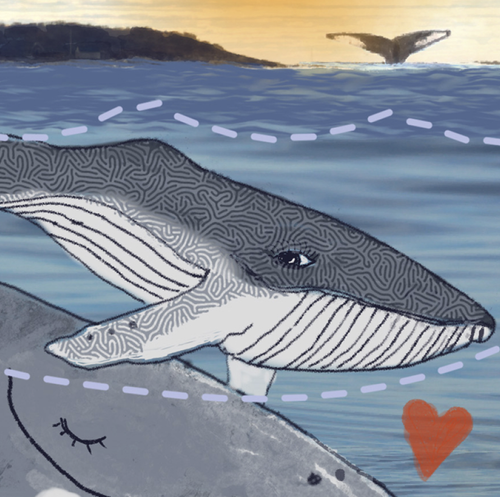 Dimples the Whale